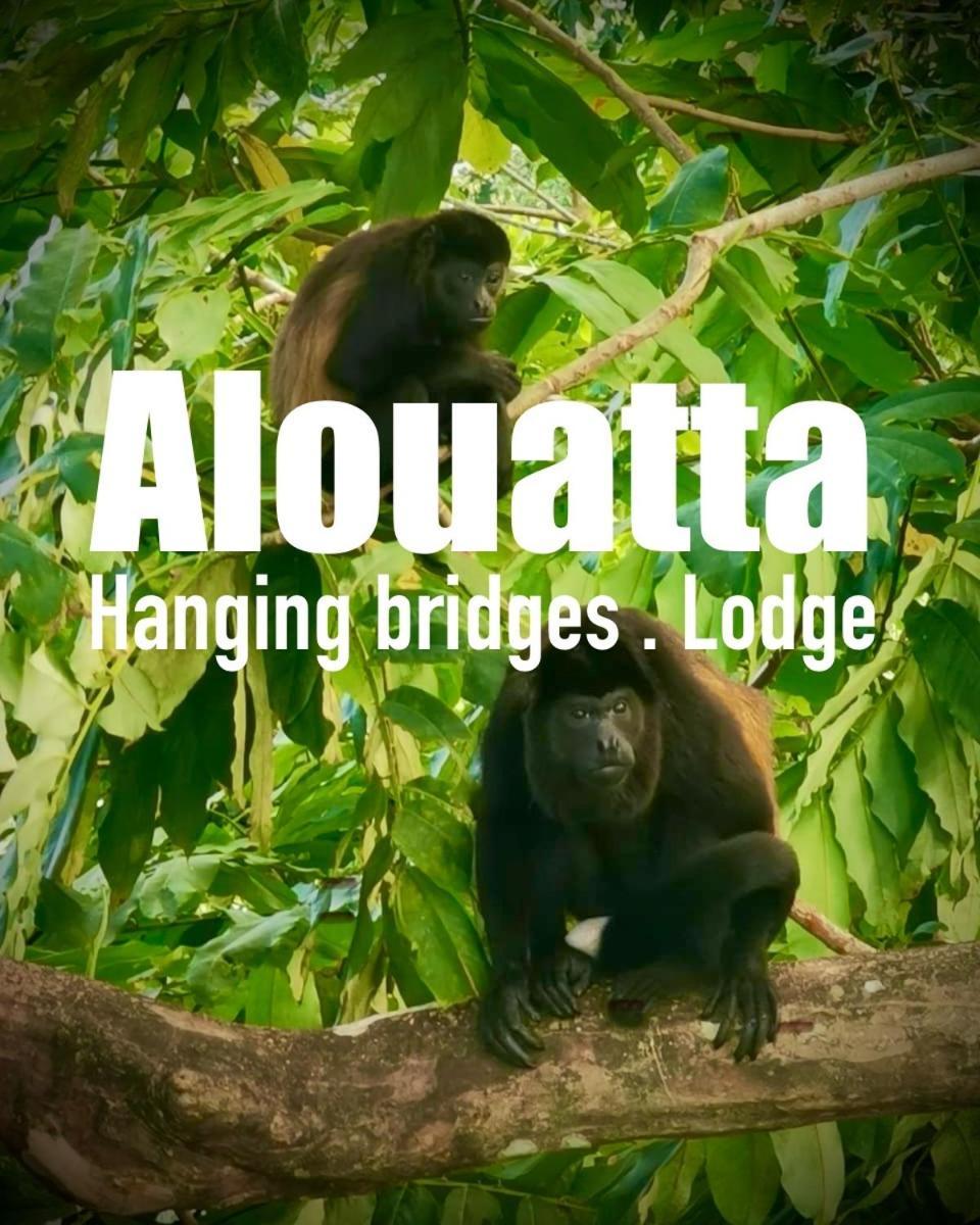 Alouatta Lodge And Canopy カウイータ エクステリア 写真