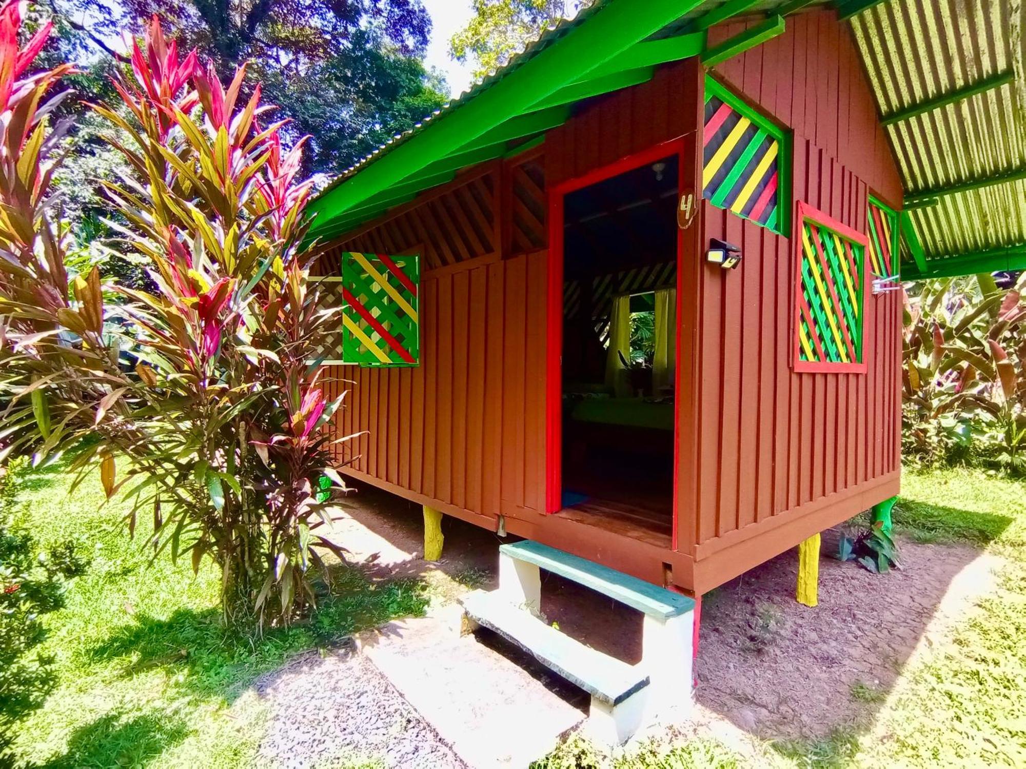 Alouatta Lodge And Canopy カウイータ エクステリア 写真