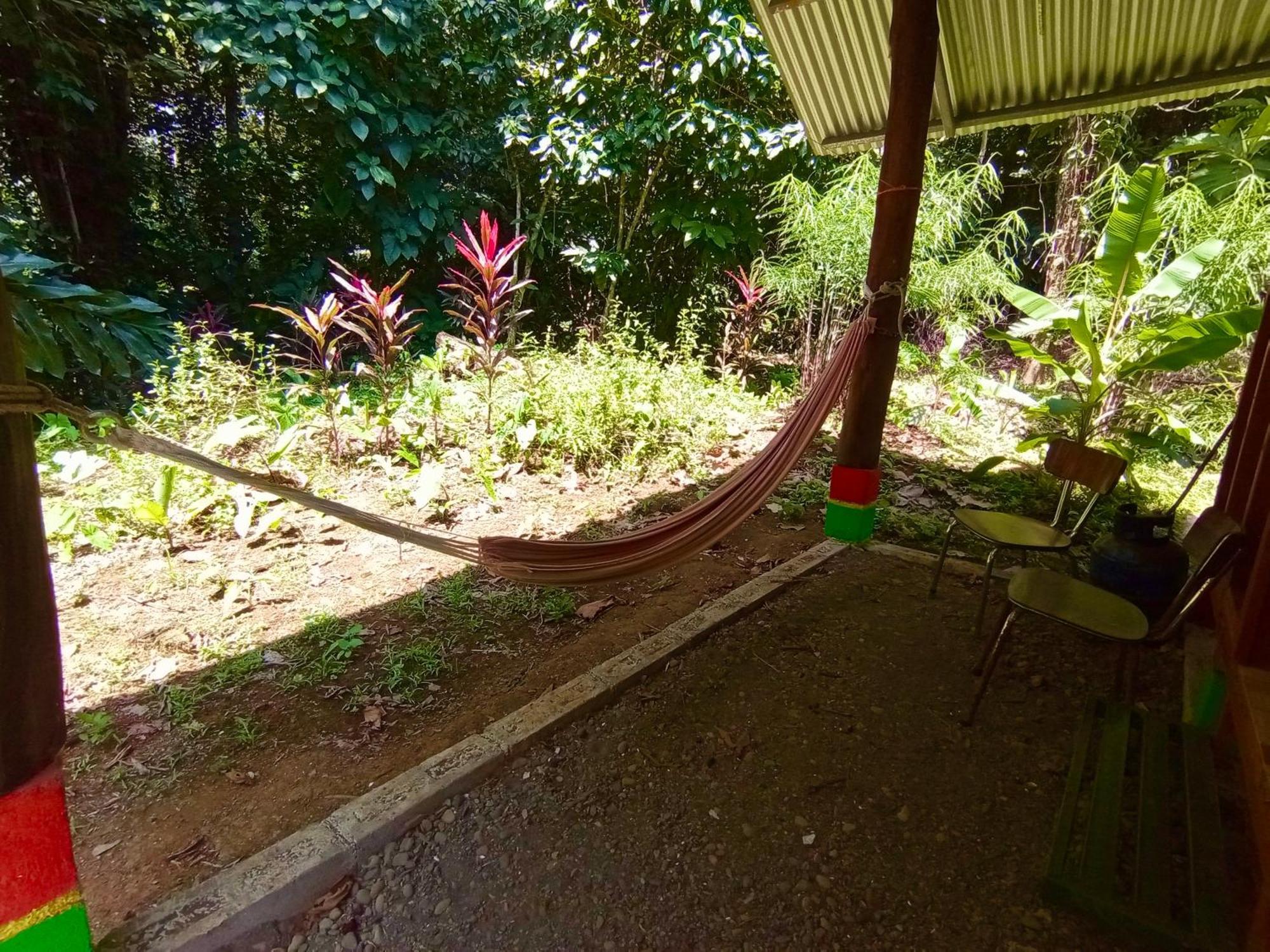 Alouatta Lodge And Canopy カウイータ エクステリア 写真