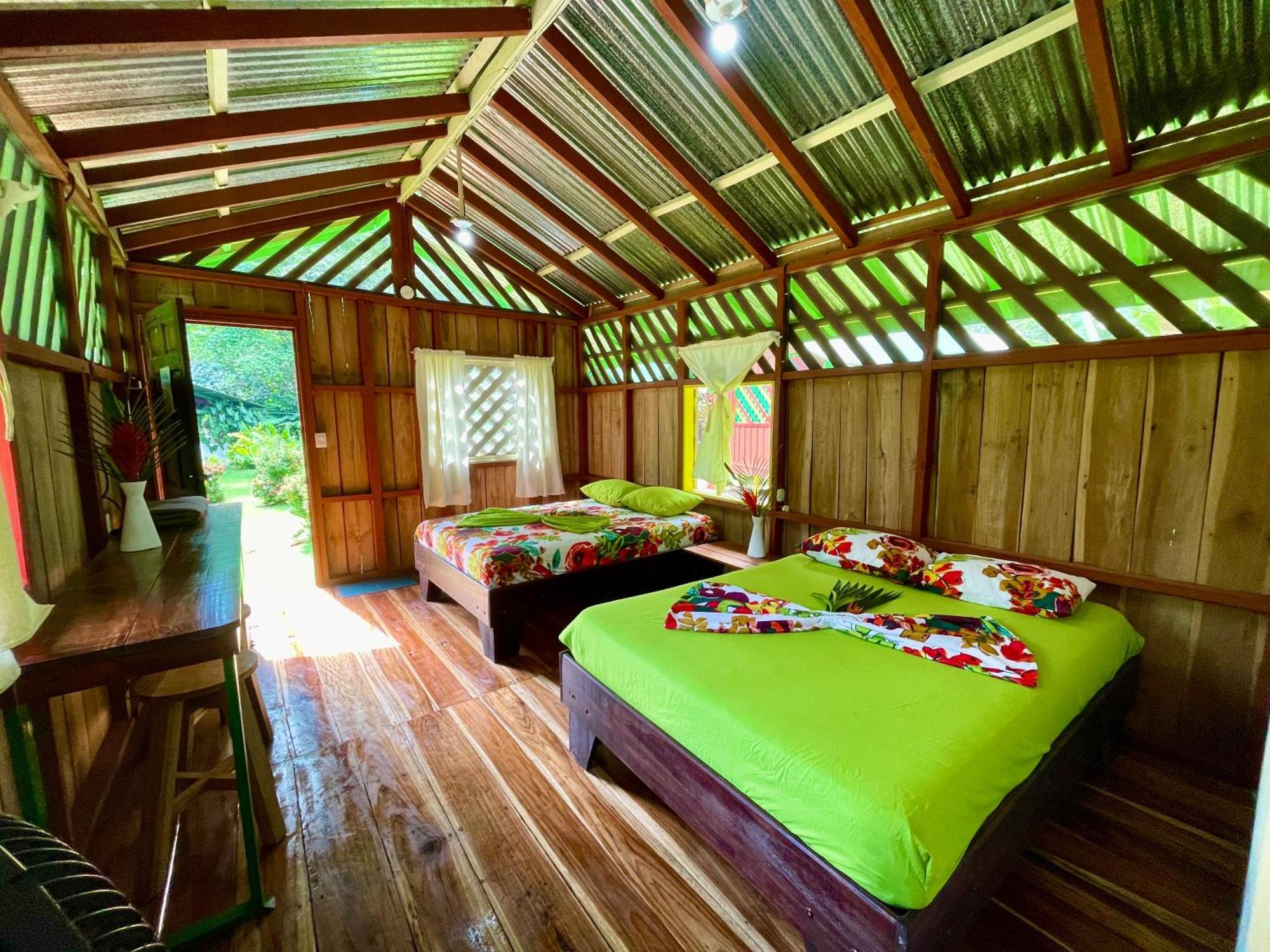 Alouatta Lodge And Canopy カウイータ エクステリア 写真