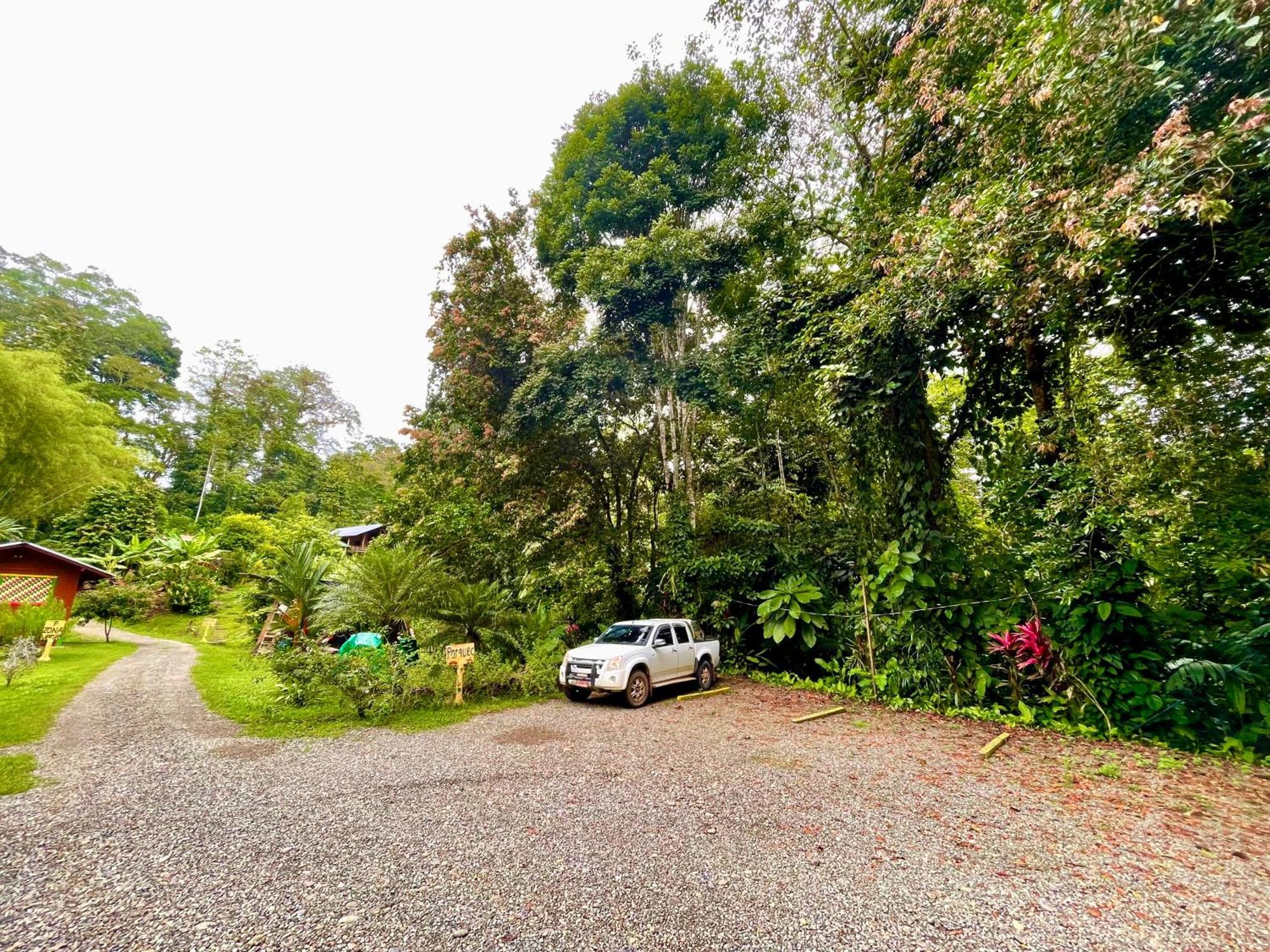 Alouatta Lodge And Canopy カウイータ エクステリア 写真