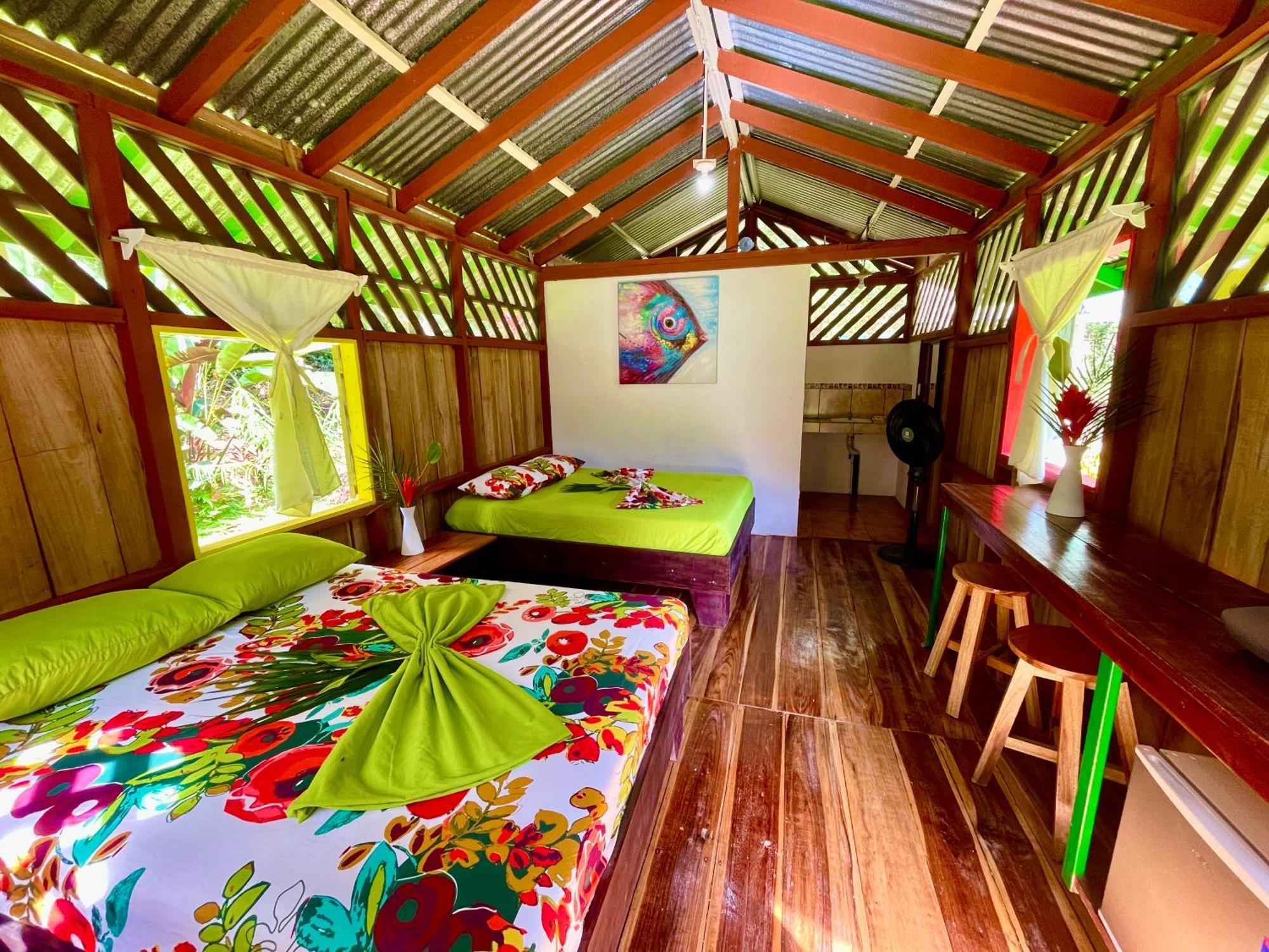 Alouatta Lodge And Canopy カウイータ エクステリア 写真