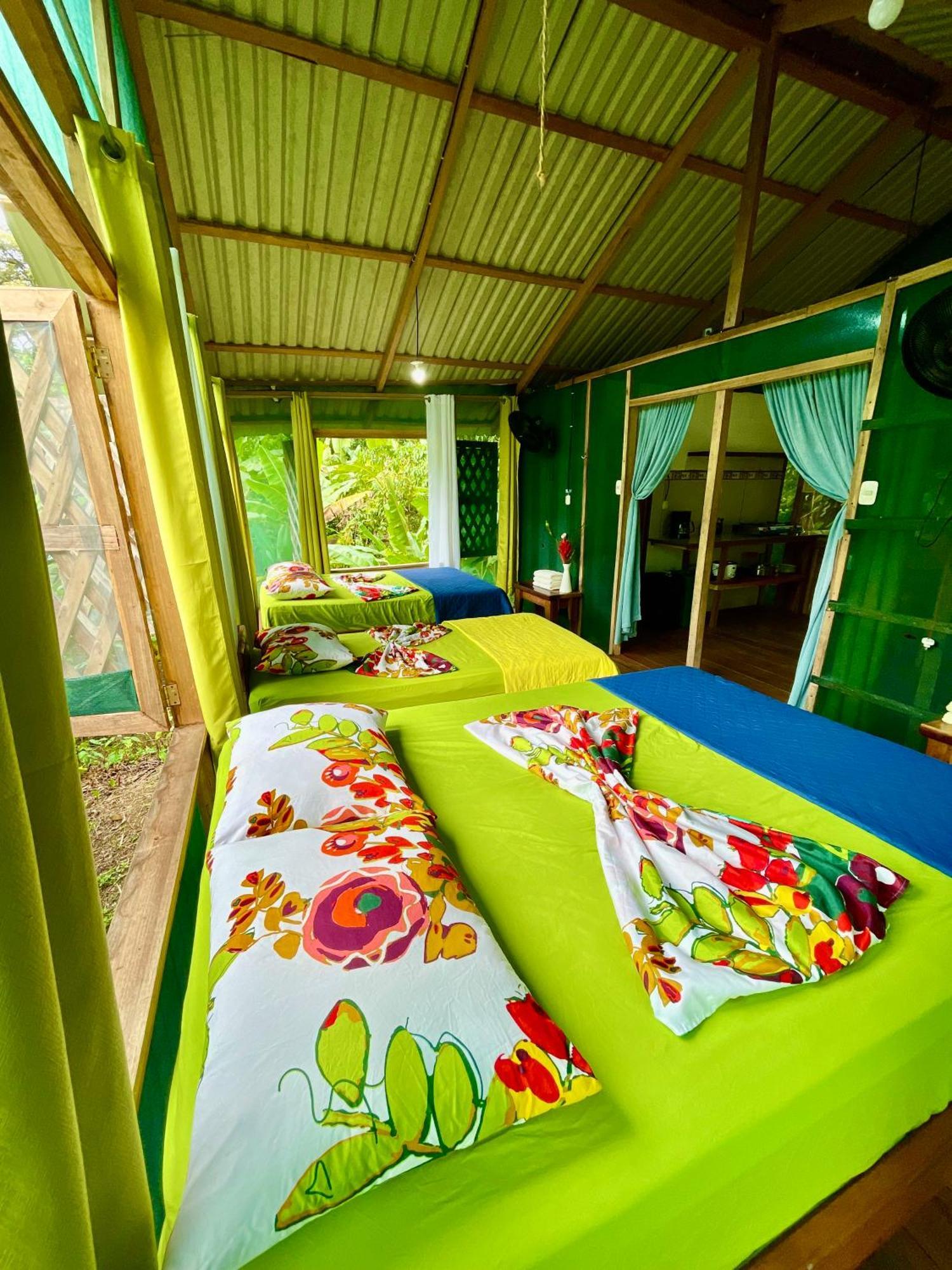 Alouatta Lodge And Canopy カウイータ エクステリア 写真
