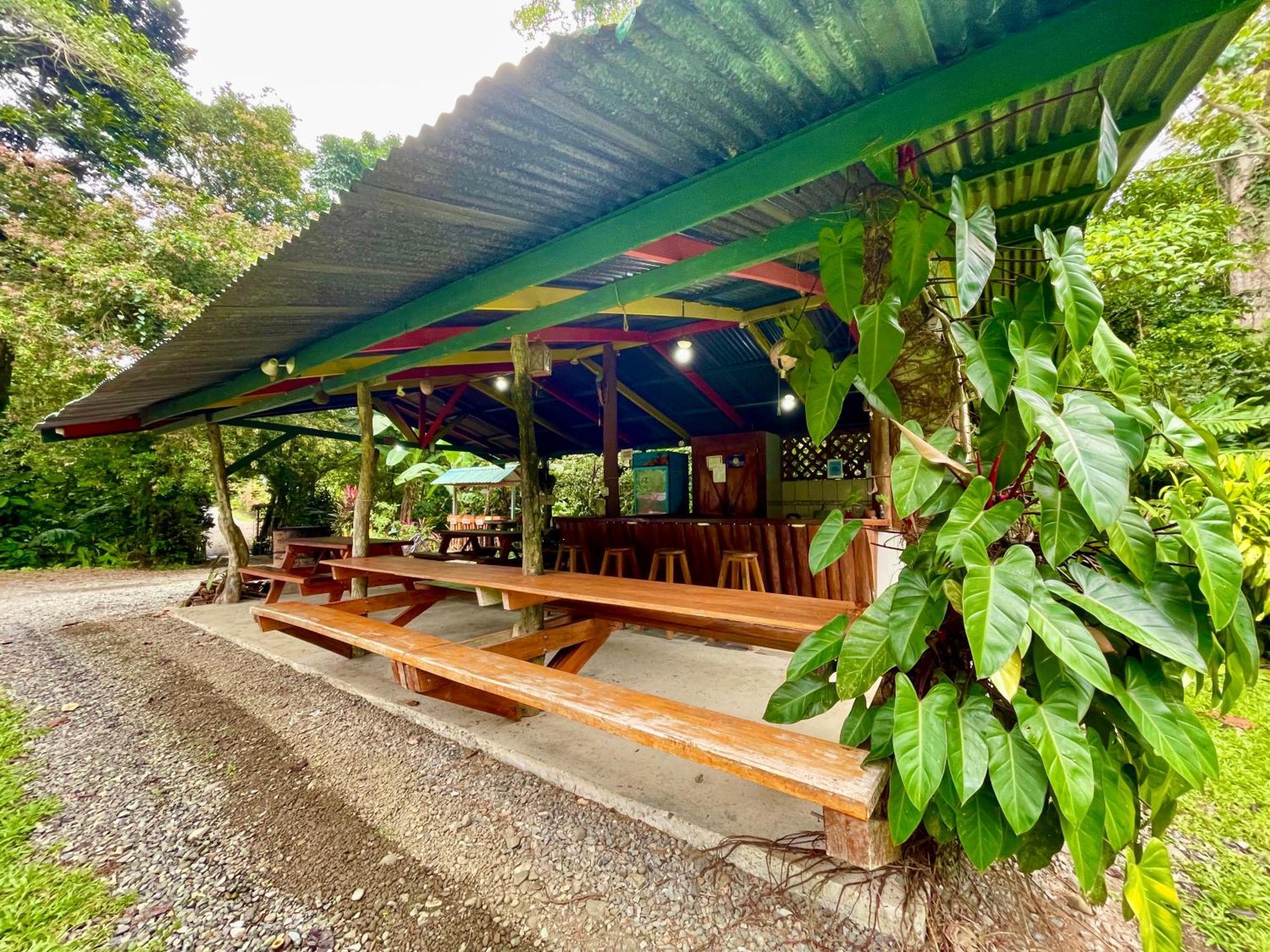 Alouatta Lodge And Canopy カウイータ エクステリア 写真