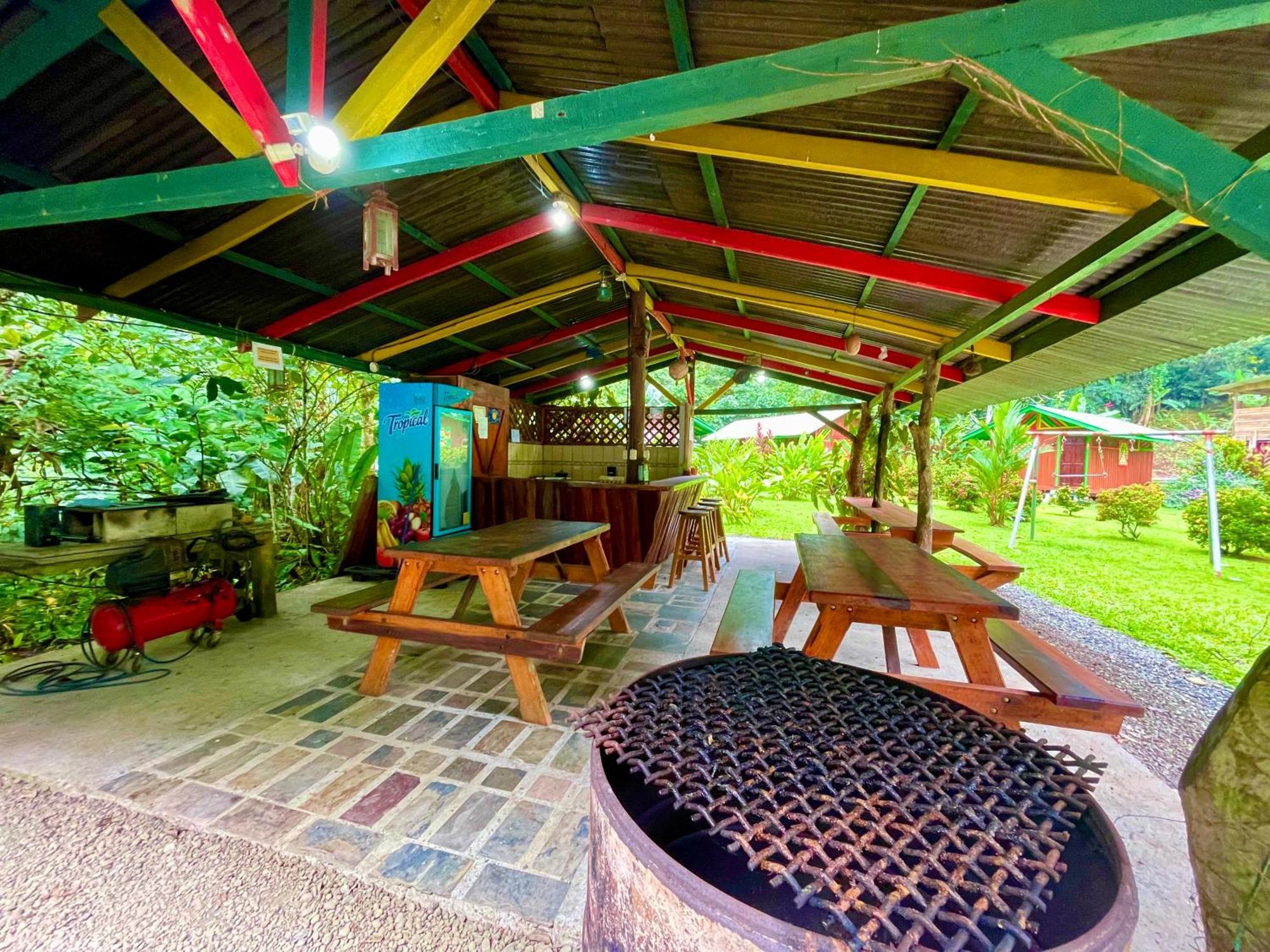 Alouatta Lodge And Canopy カウイータ エクステリア 写真