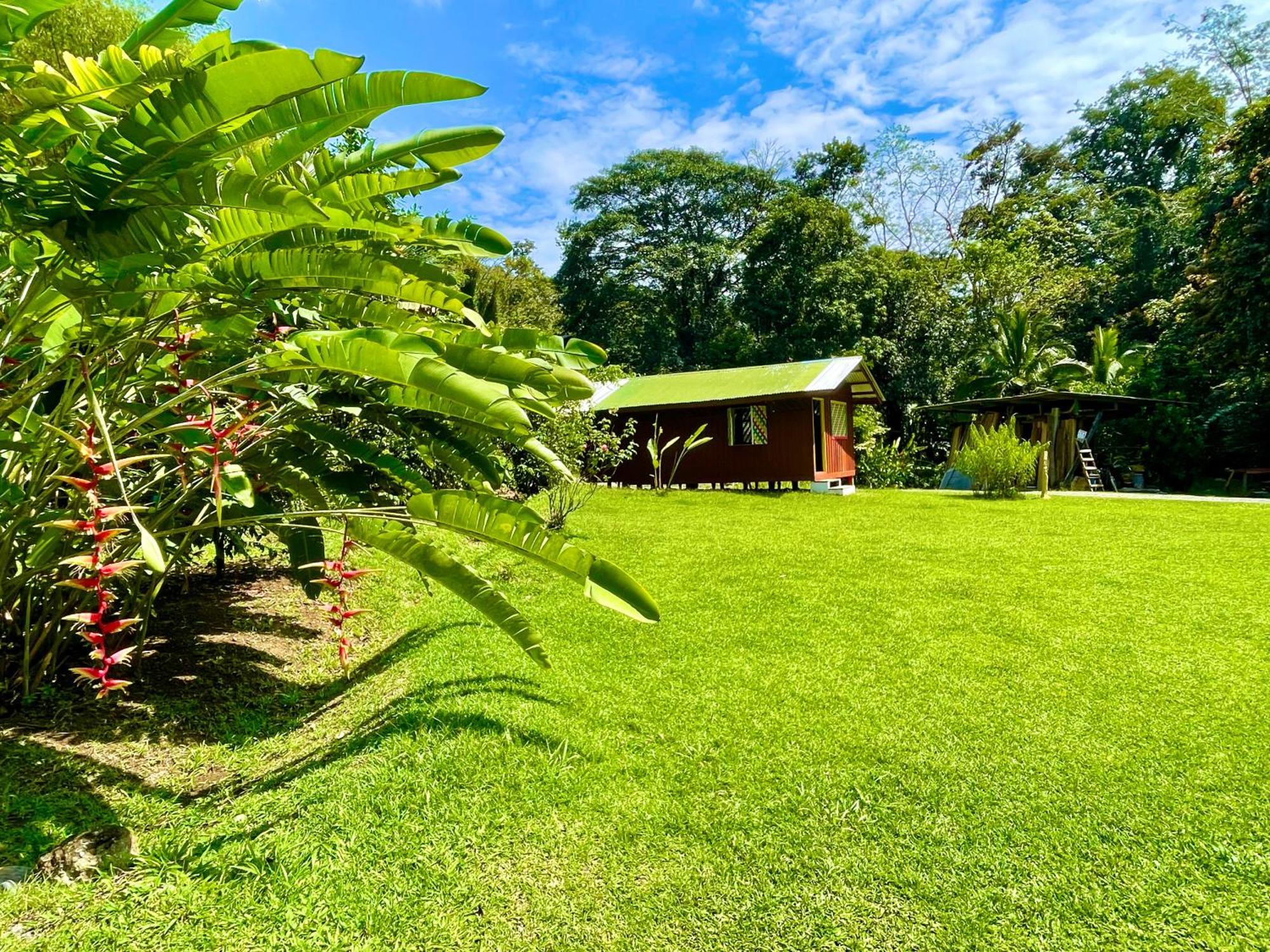Alouatta Lodge And Canopy カウイータ エクステリア 写真