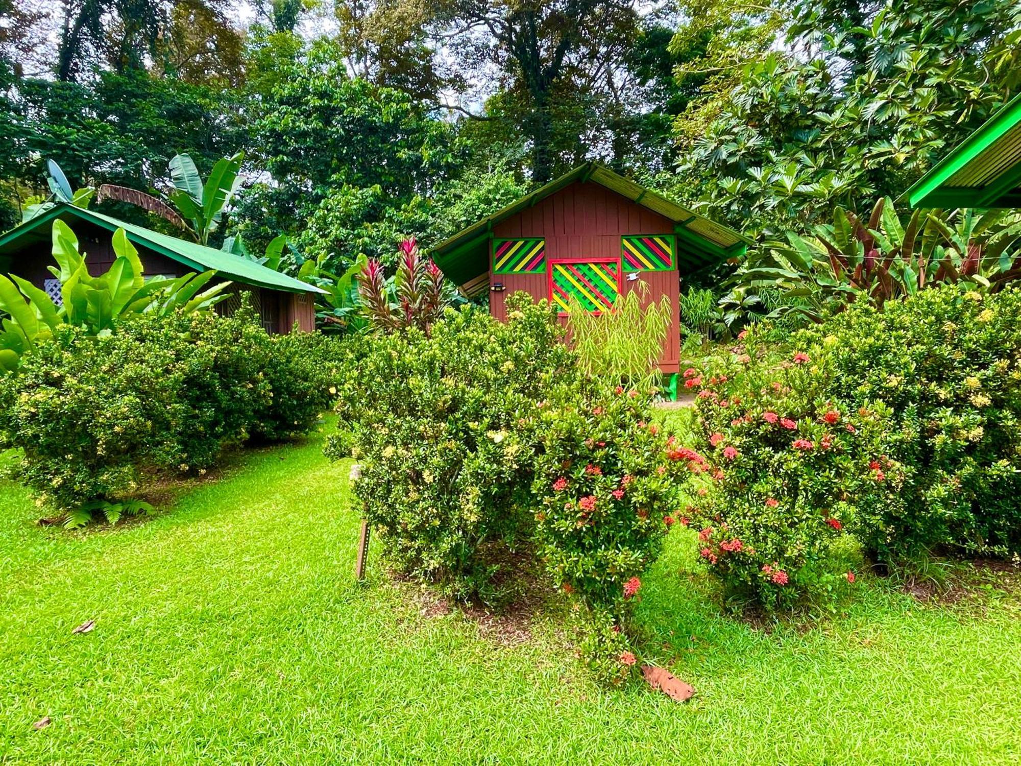 Alouatta Lodge And Canopy カウイータ エクステリア 写真