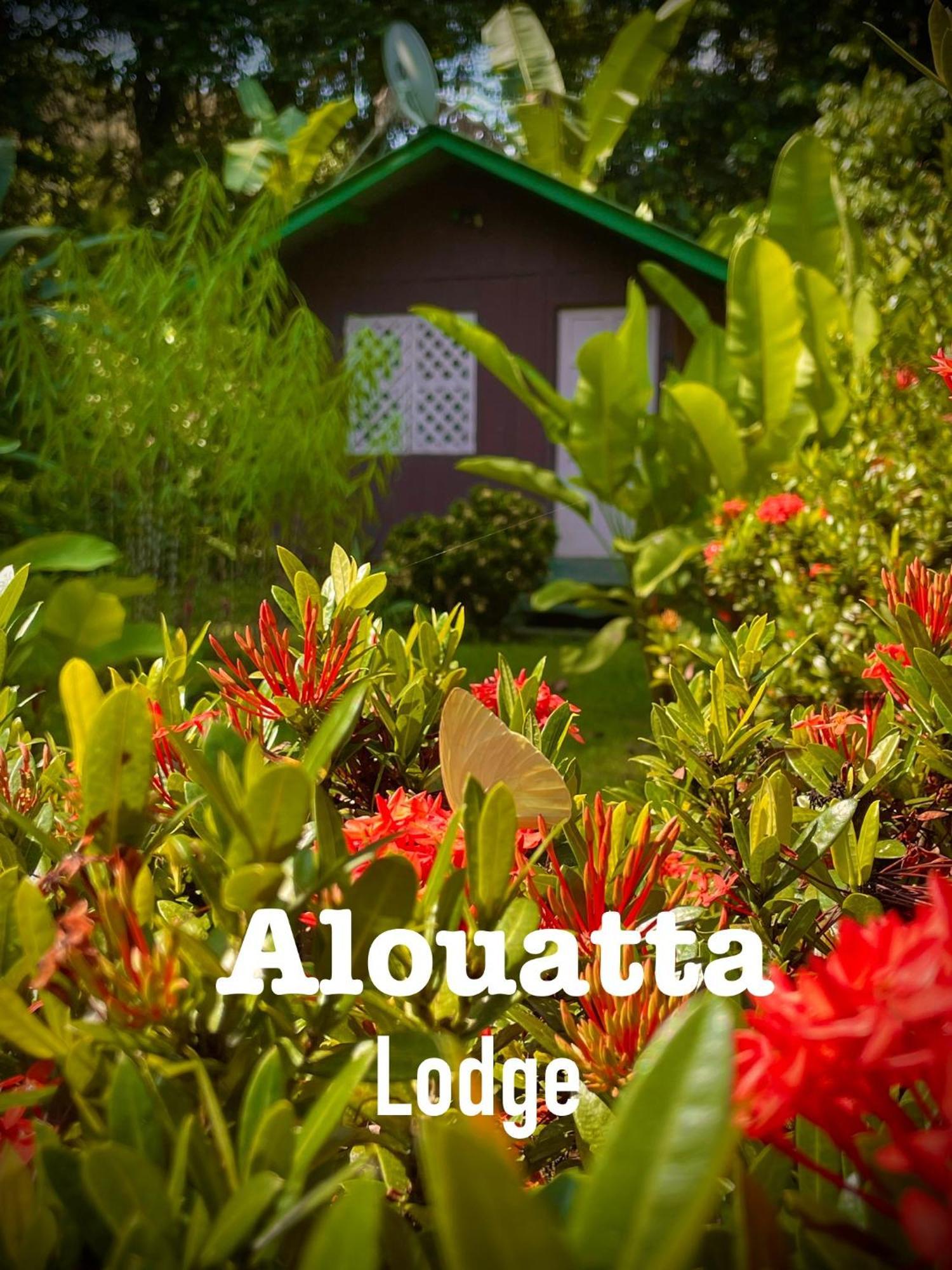 Alouatta Lodge And Canopy カウイータ エクステリア 写真