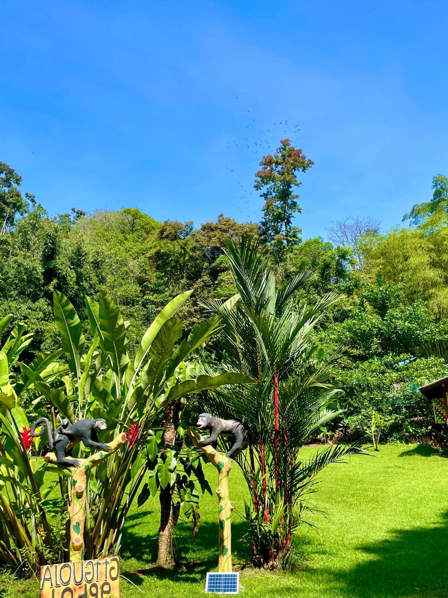 Alouatta Lodge And Canopy カウイータ エクステリア 写真