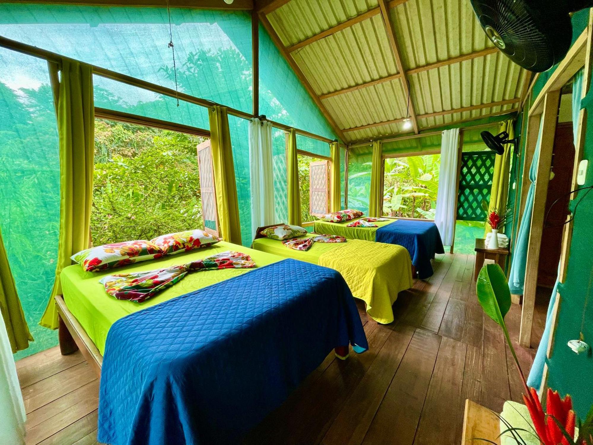 Alouatta Lodge And Canopy カウイータ エクステリア 写真