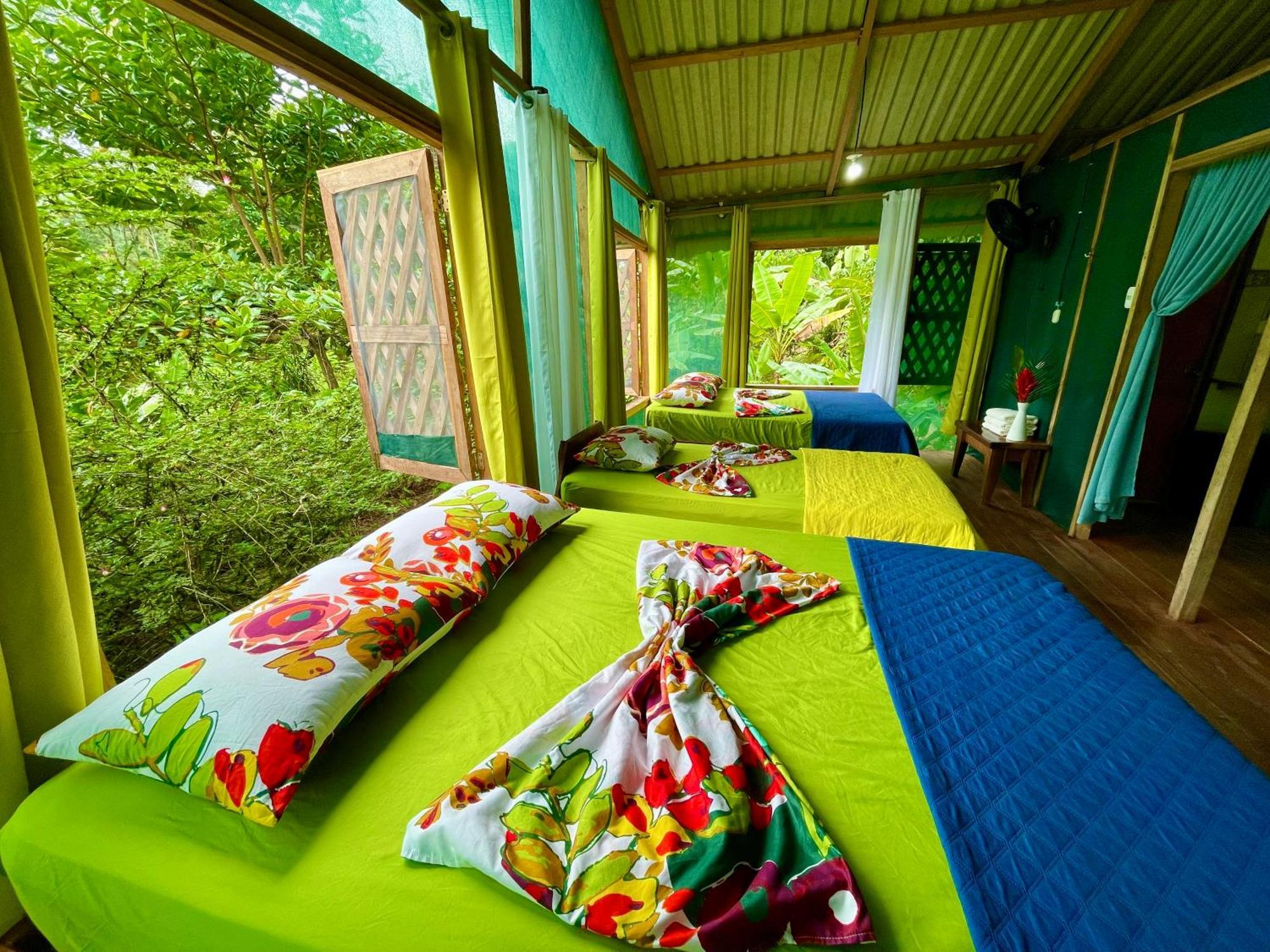 Alouatta Lodge And Canopy カウイータ エクステリア 写真