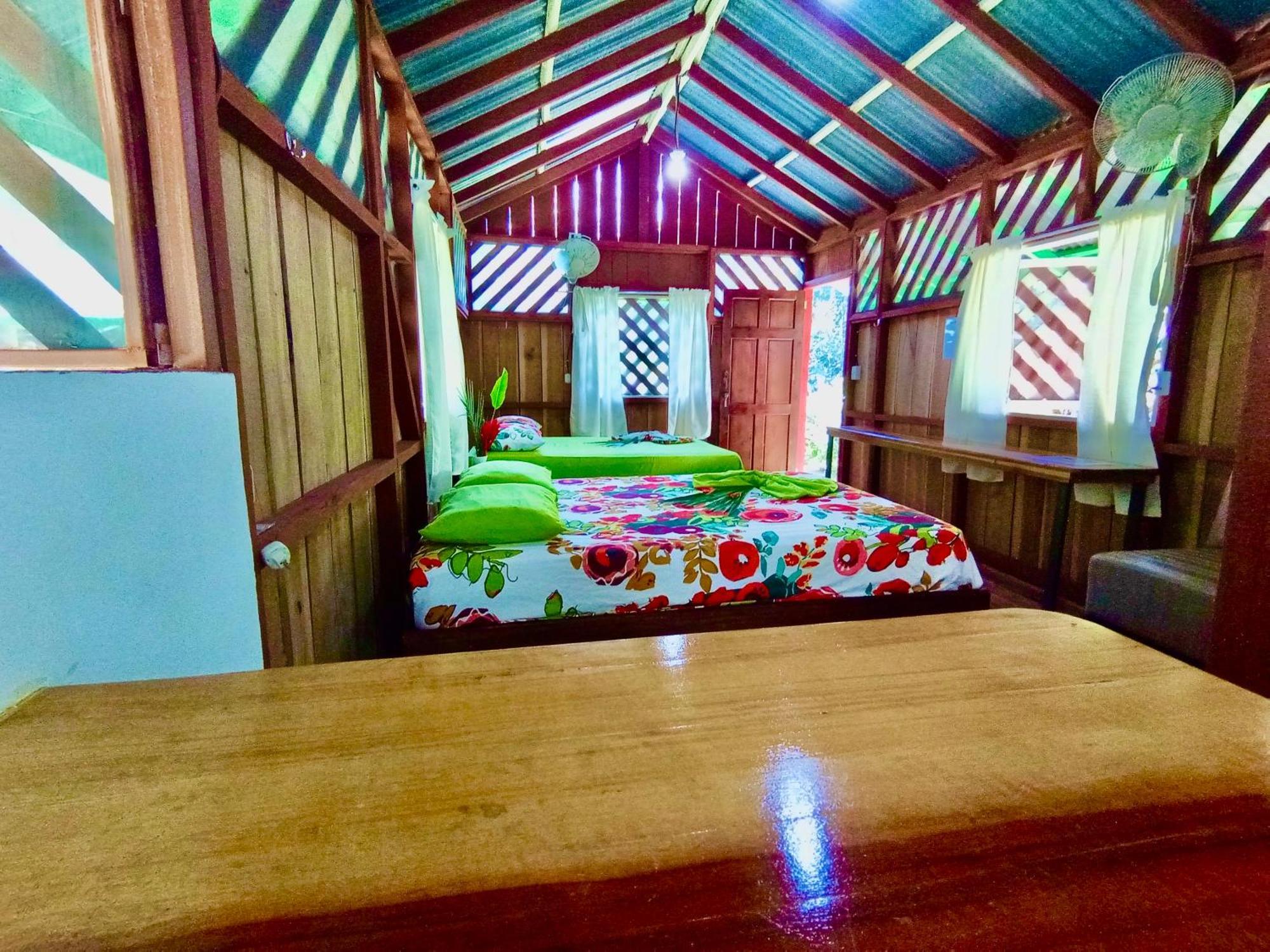Alouatta Lodge And Canopy カウイータ エクステリア 写真