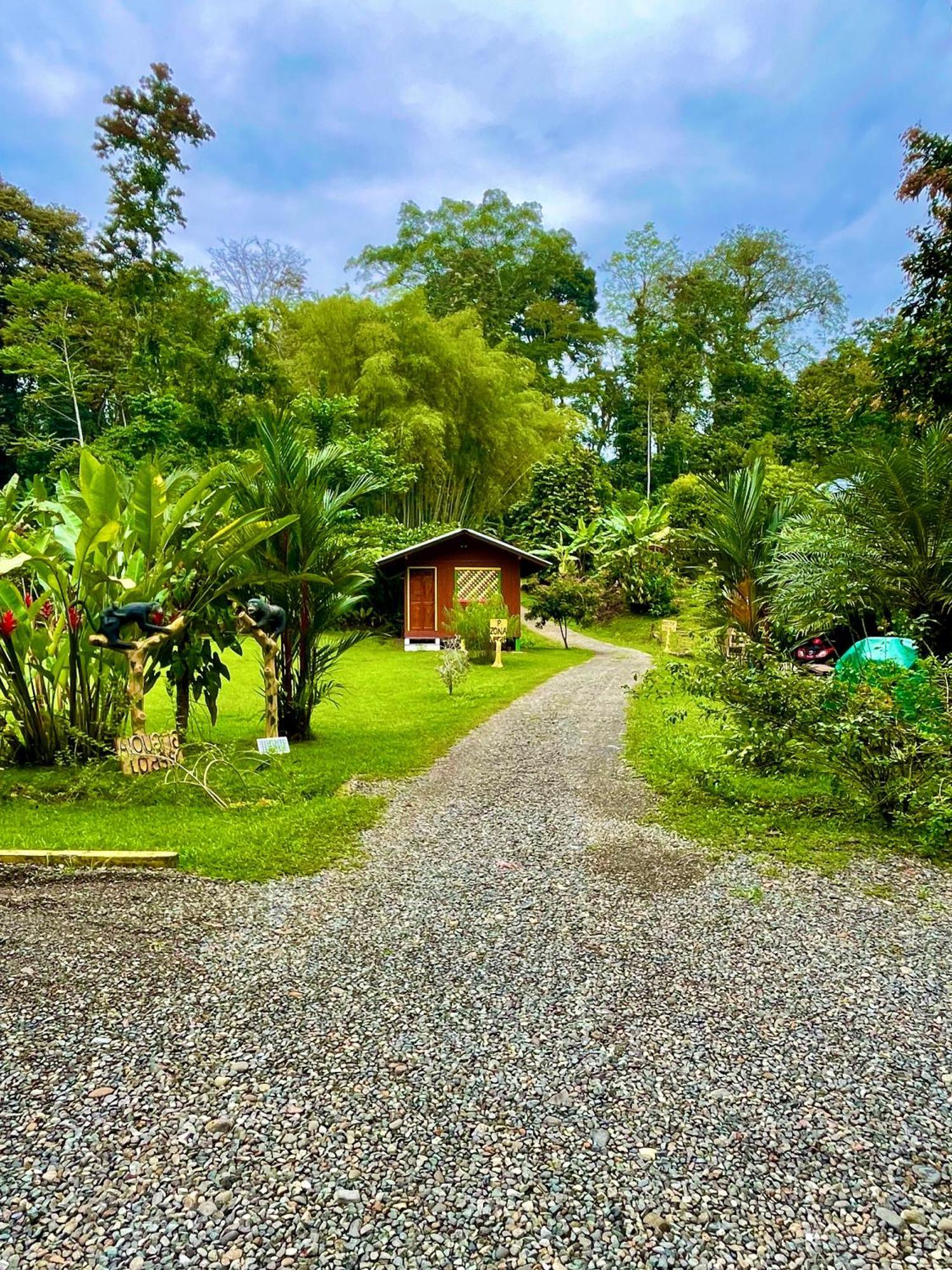 Alouatta Lodge And Canopy カウイータ エクステリア 写真