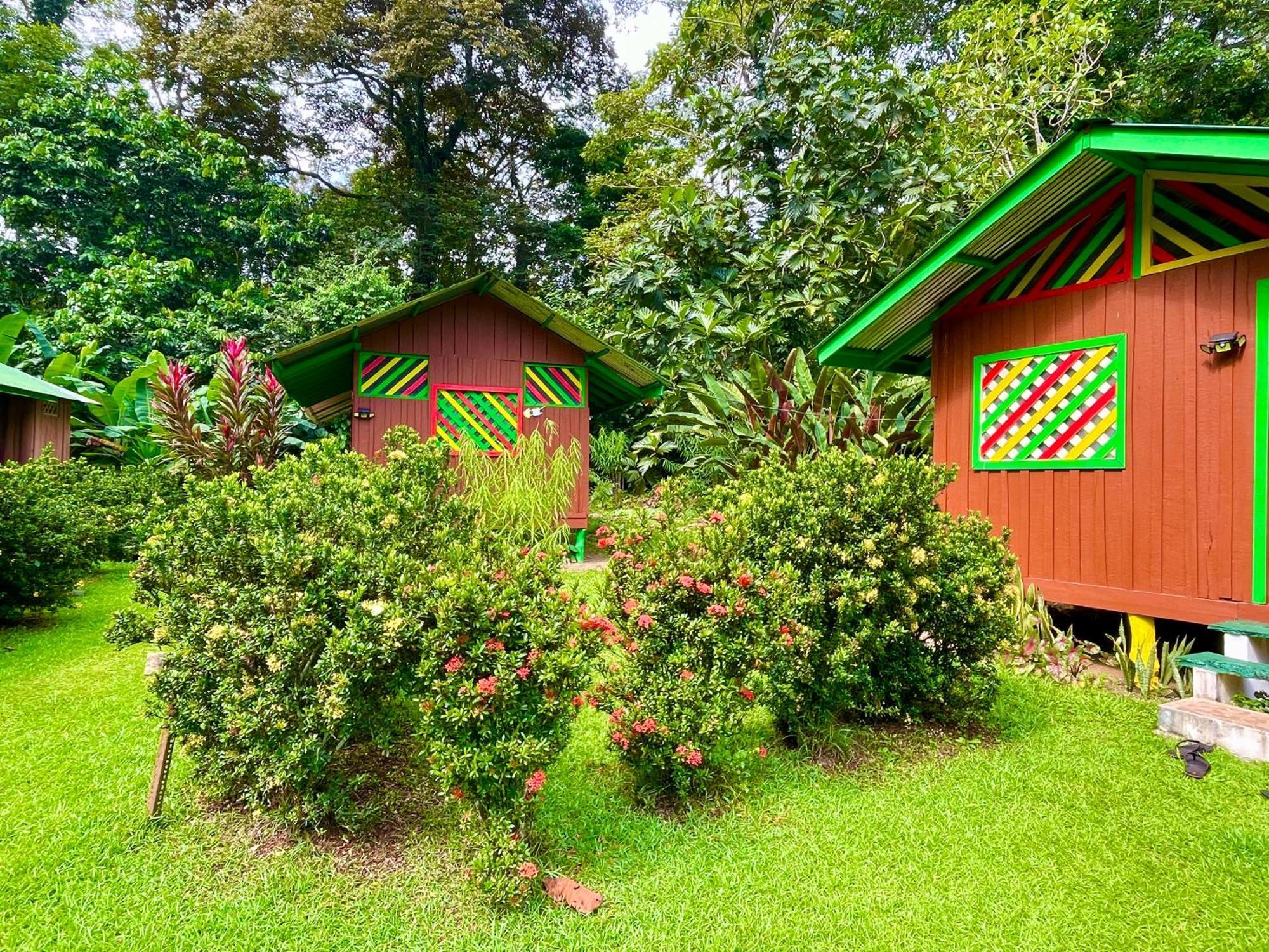 Alouatta Lodge And Canopy カウイータ エクステリア 写真
