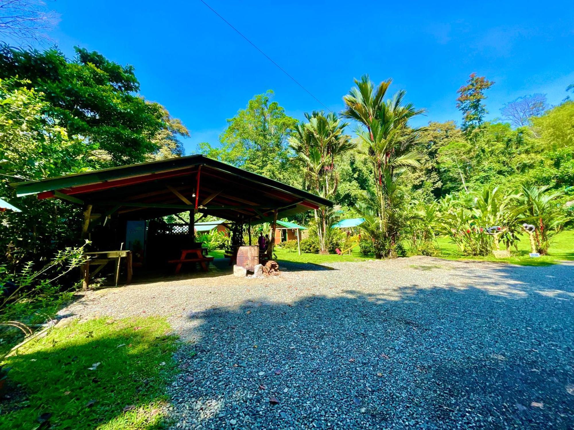 Alouatta Lodge And Canopy カウイータ エクステリア 写真