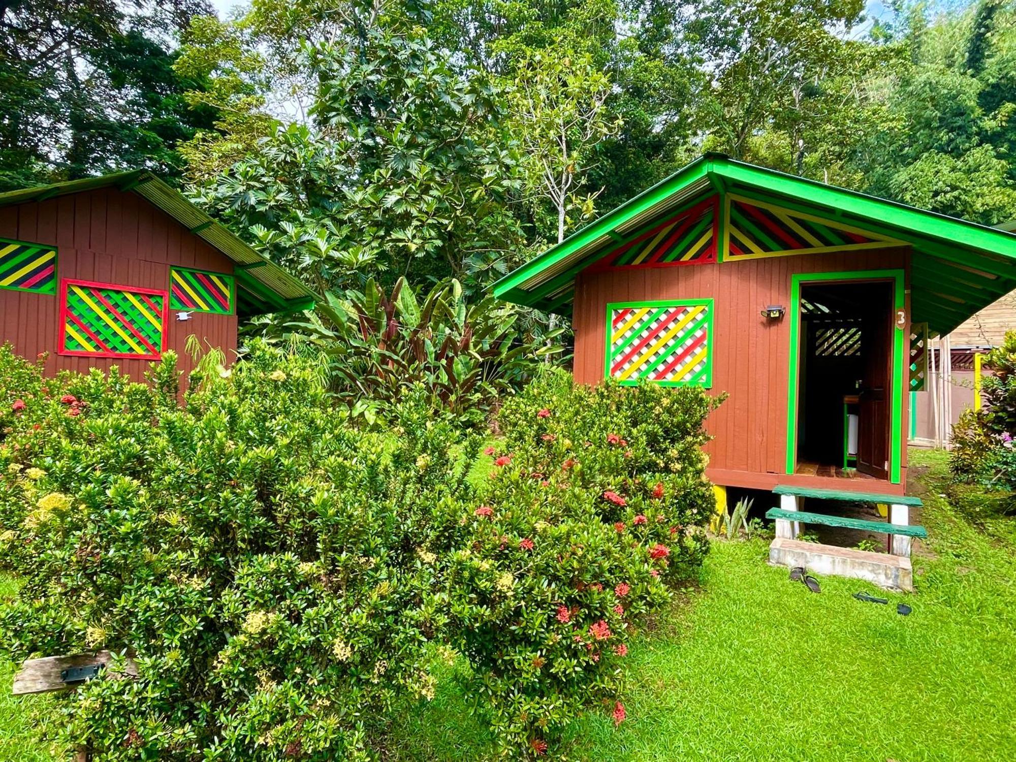 Alouatta Lodge And Canopy カウイータ エクステリア 写真