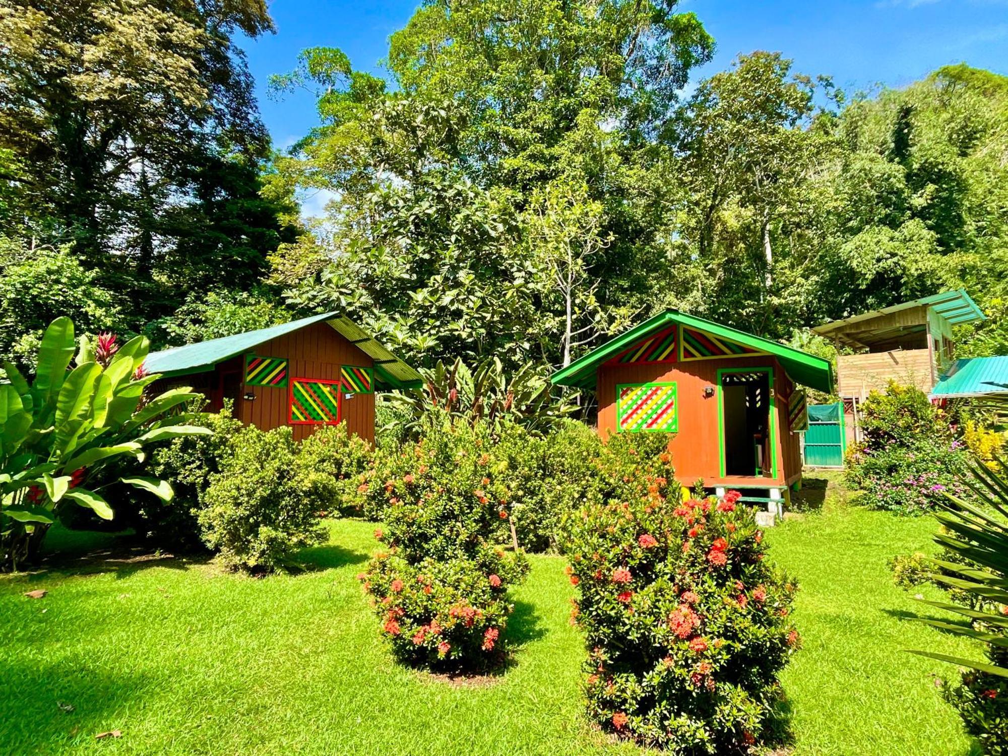 Alouatta Lodge And Canopy カウイータ エクステリア 写真