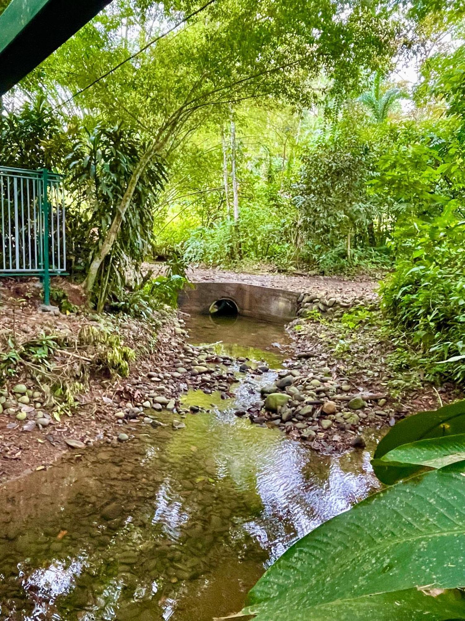 Alouatta Lodge And Canopy カウイータ エクステリア 写真