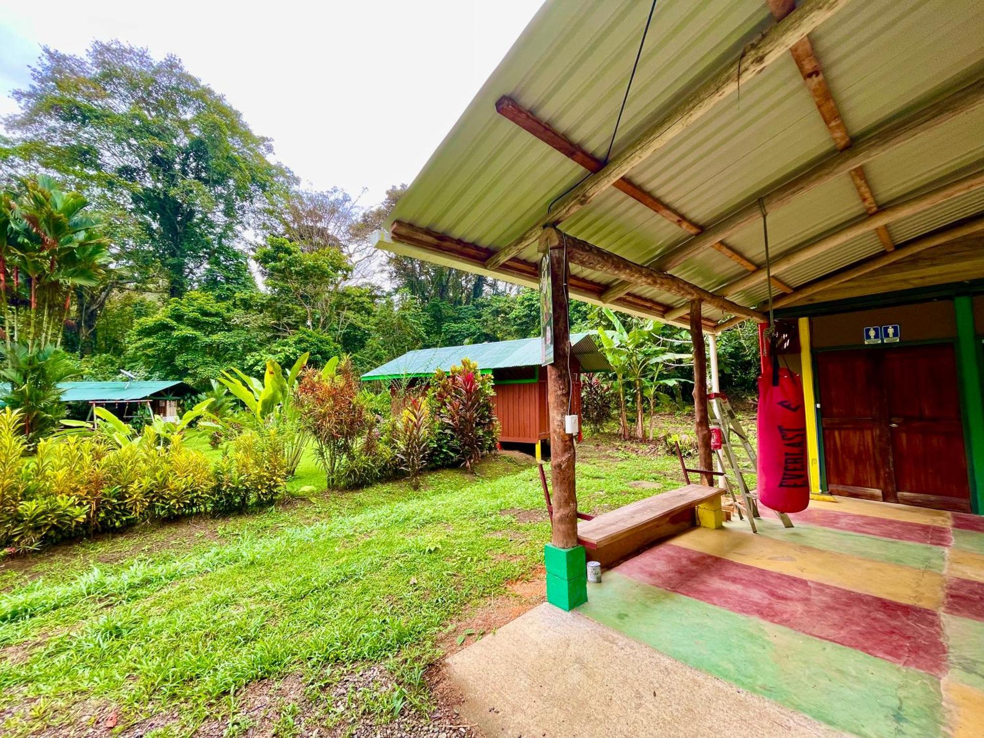 Alouatta Lodge And Canopy カウイータ エクステリア 写真