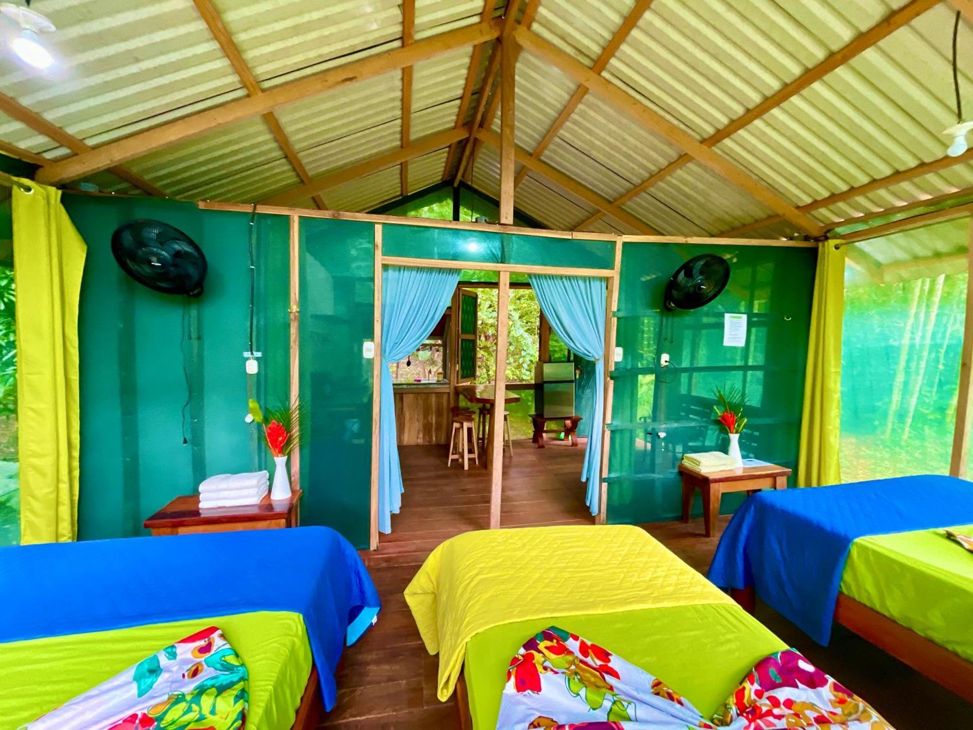 Alouatta Lodge And Canopy カウイータ エクステリア 写真