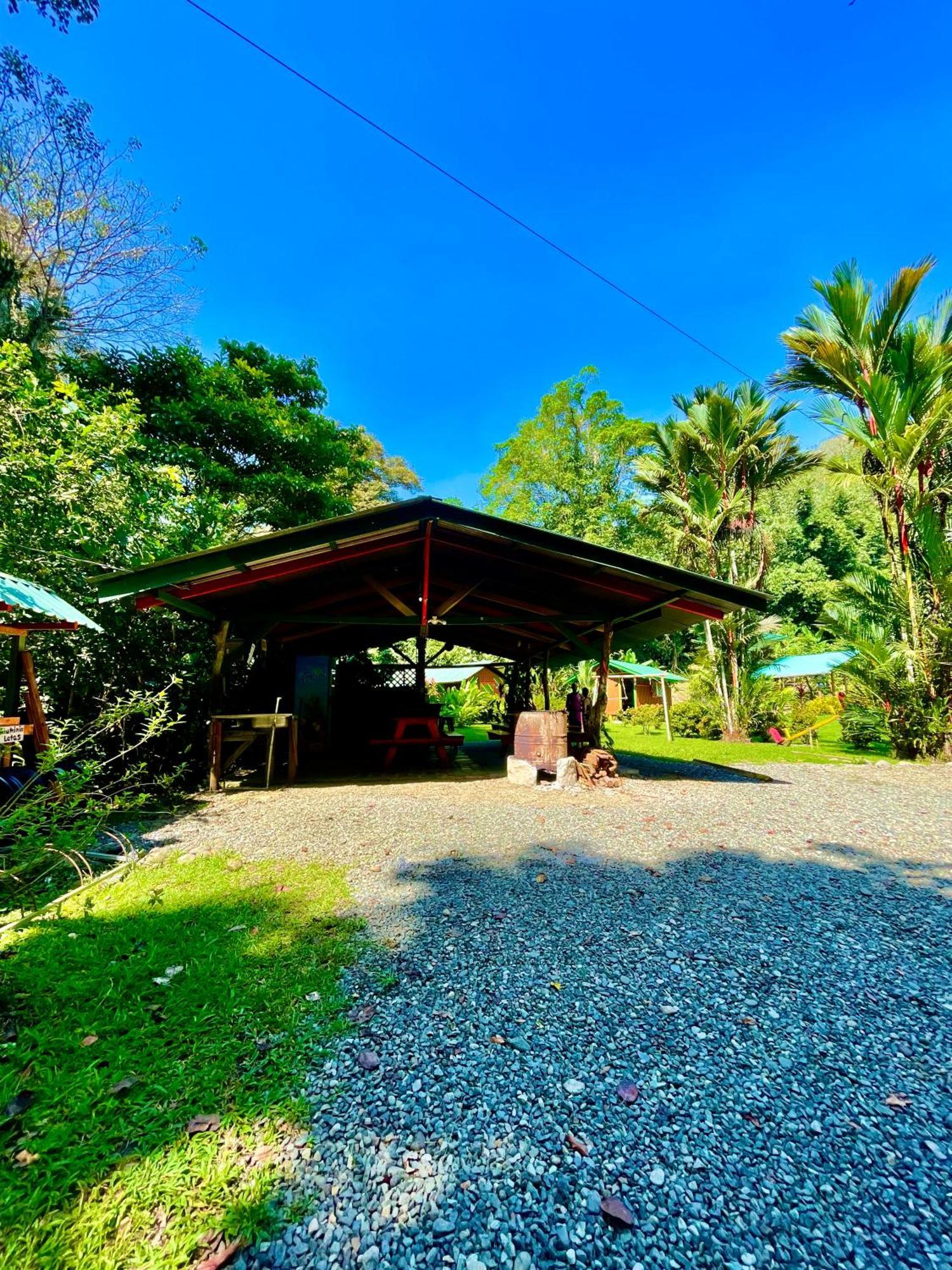 Alouatta Lodge And Canopy カウイータ エクステリア 写真
