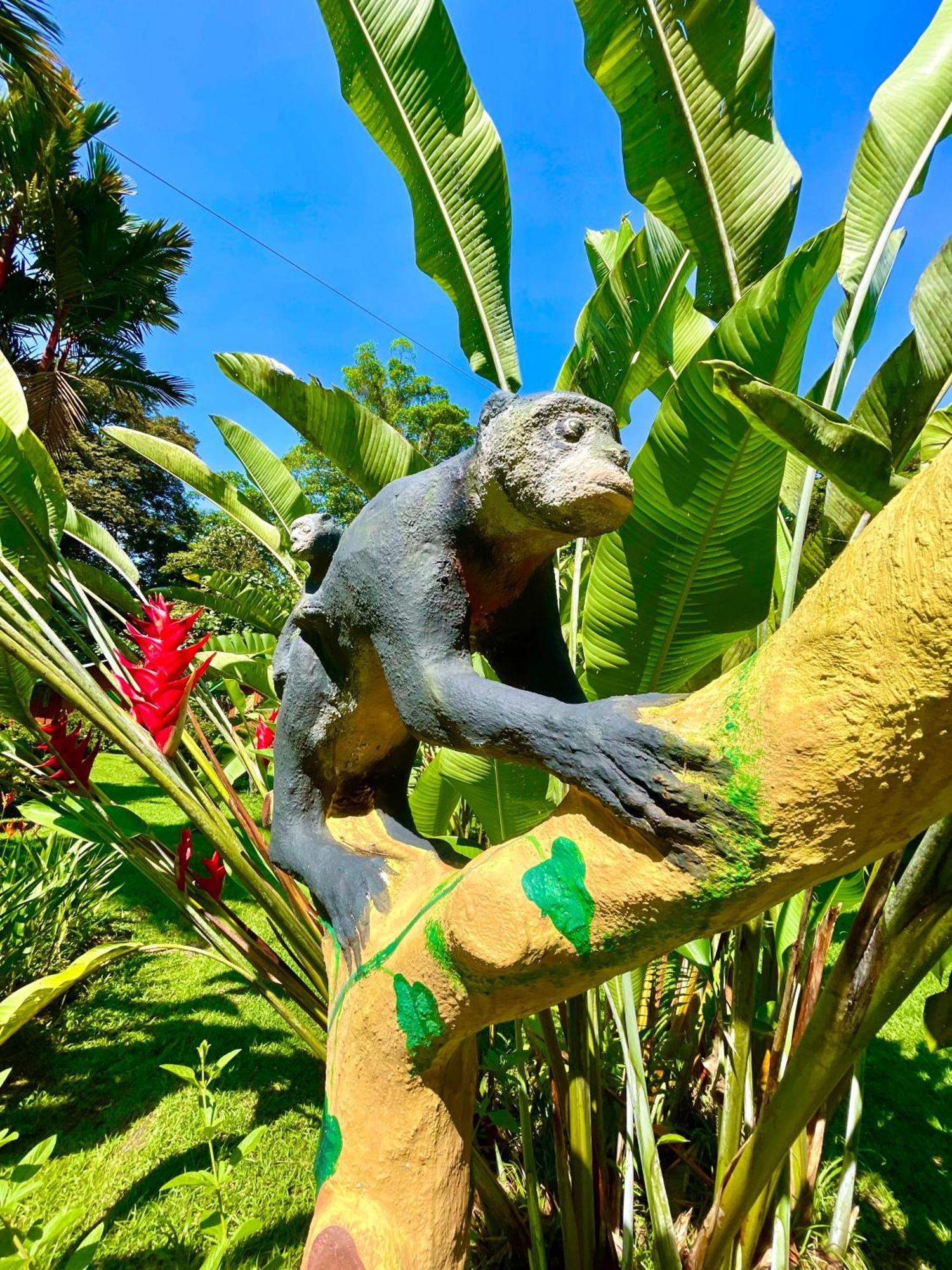 Alouatta Lodge And Canopy カウイータ エクステリア 写真