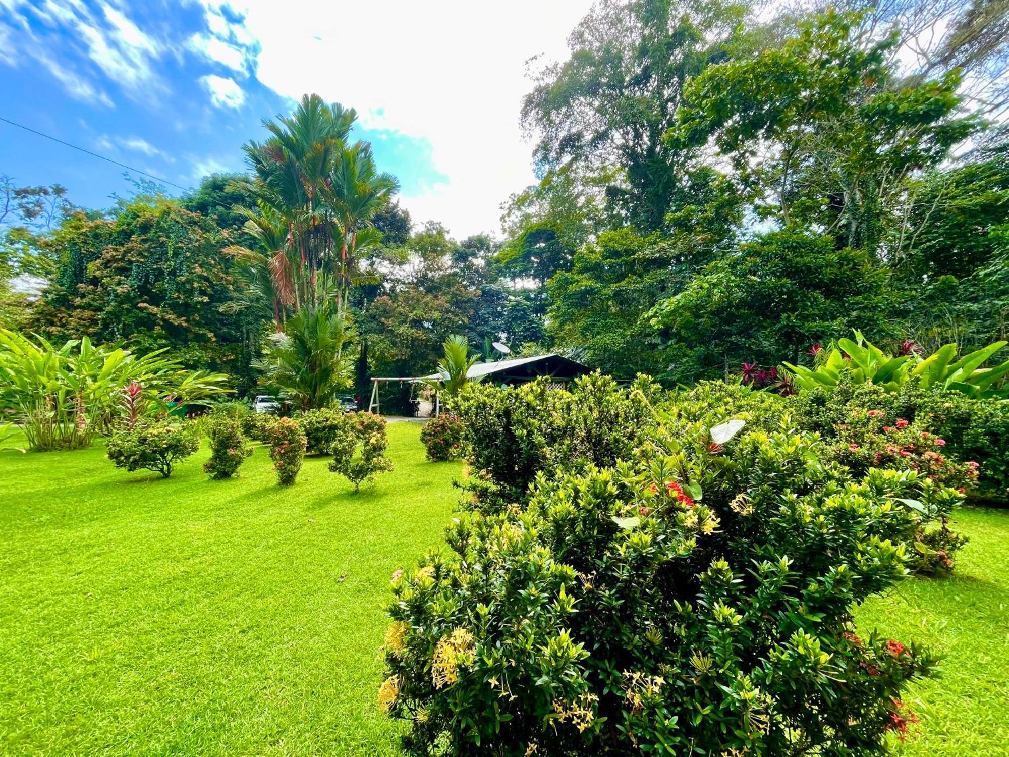 Alouatta Lodge And Canopy カウイータ エクステリア 写真