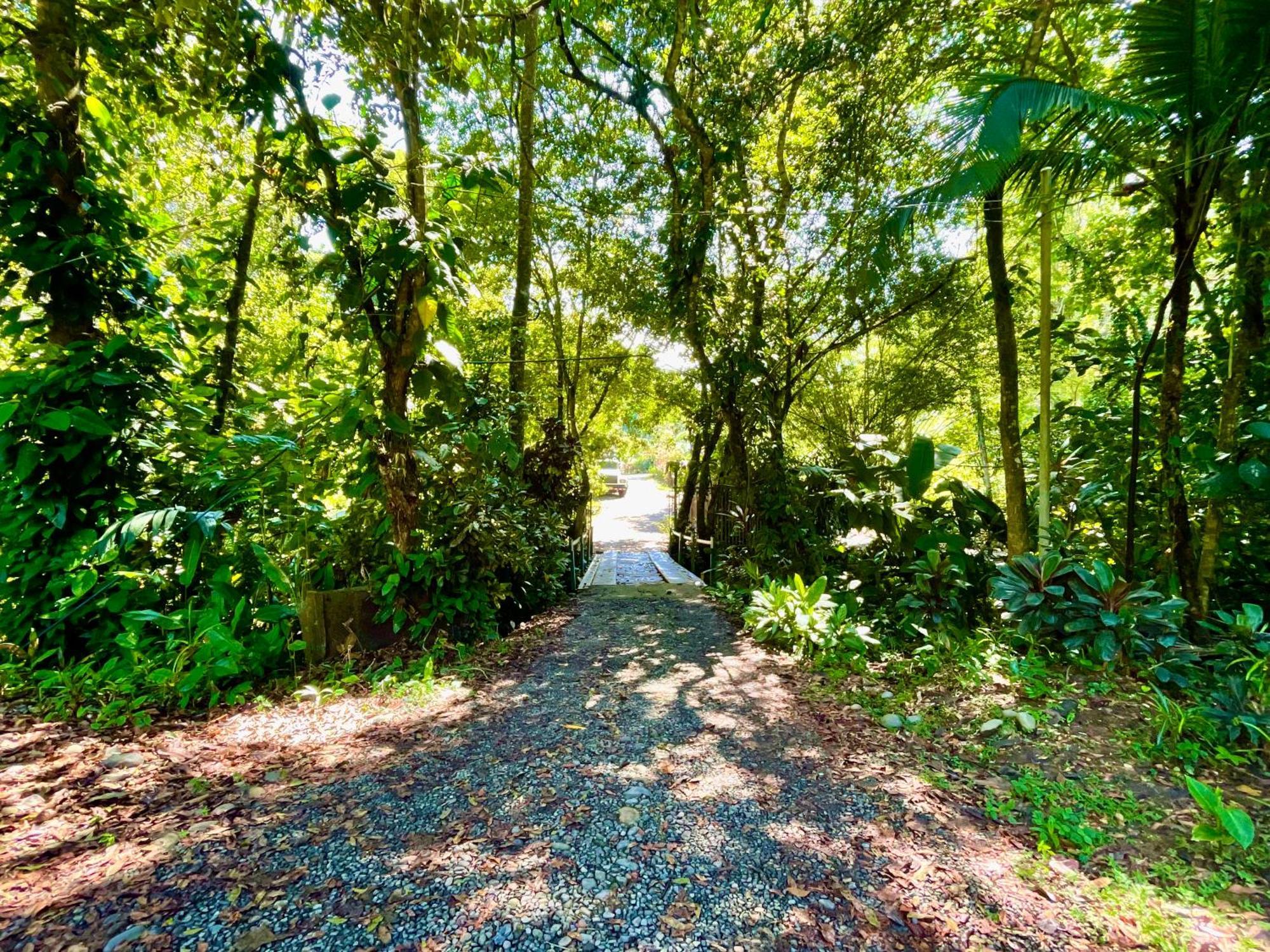 Alouatta Lodge And Canopy カウイータ エクステリア 写真