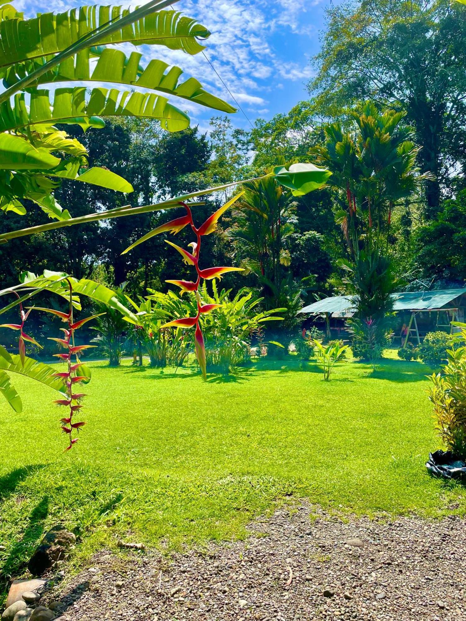 Alouatta Lodge And Canopy カウイータ エクステリア 写真