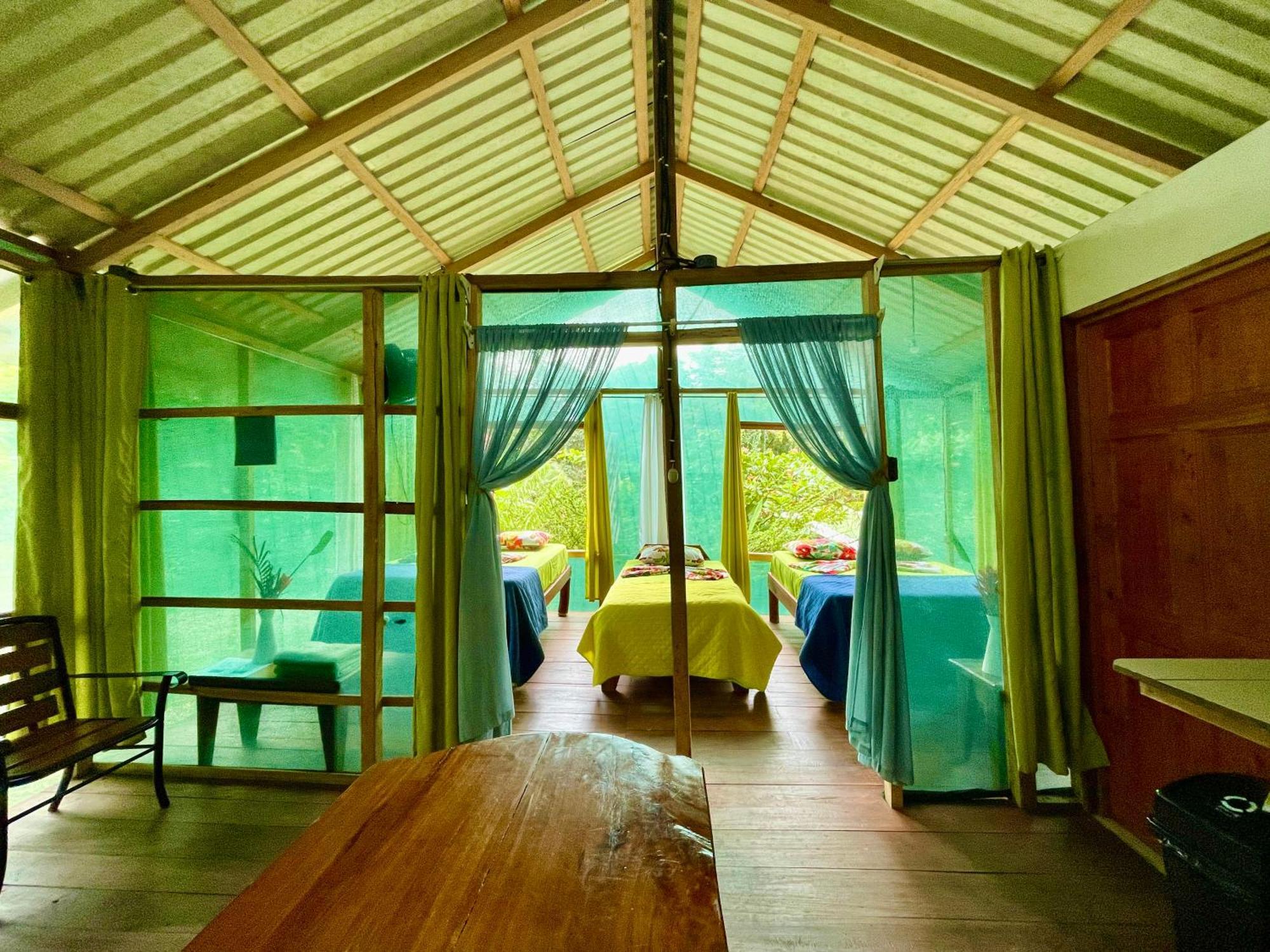 Alouatta Lodge And Canopy カウイータ エクステリア 写真