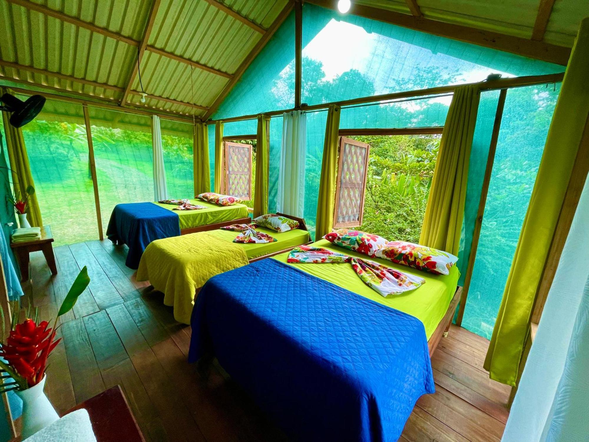 Alouatta Lodge And Canopy カウイータ エクステリア 写真