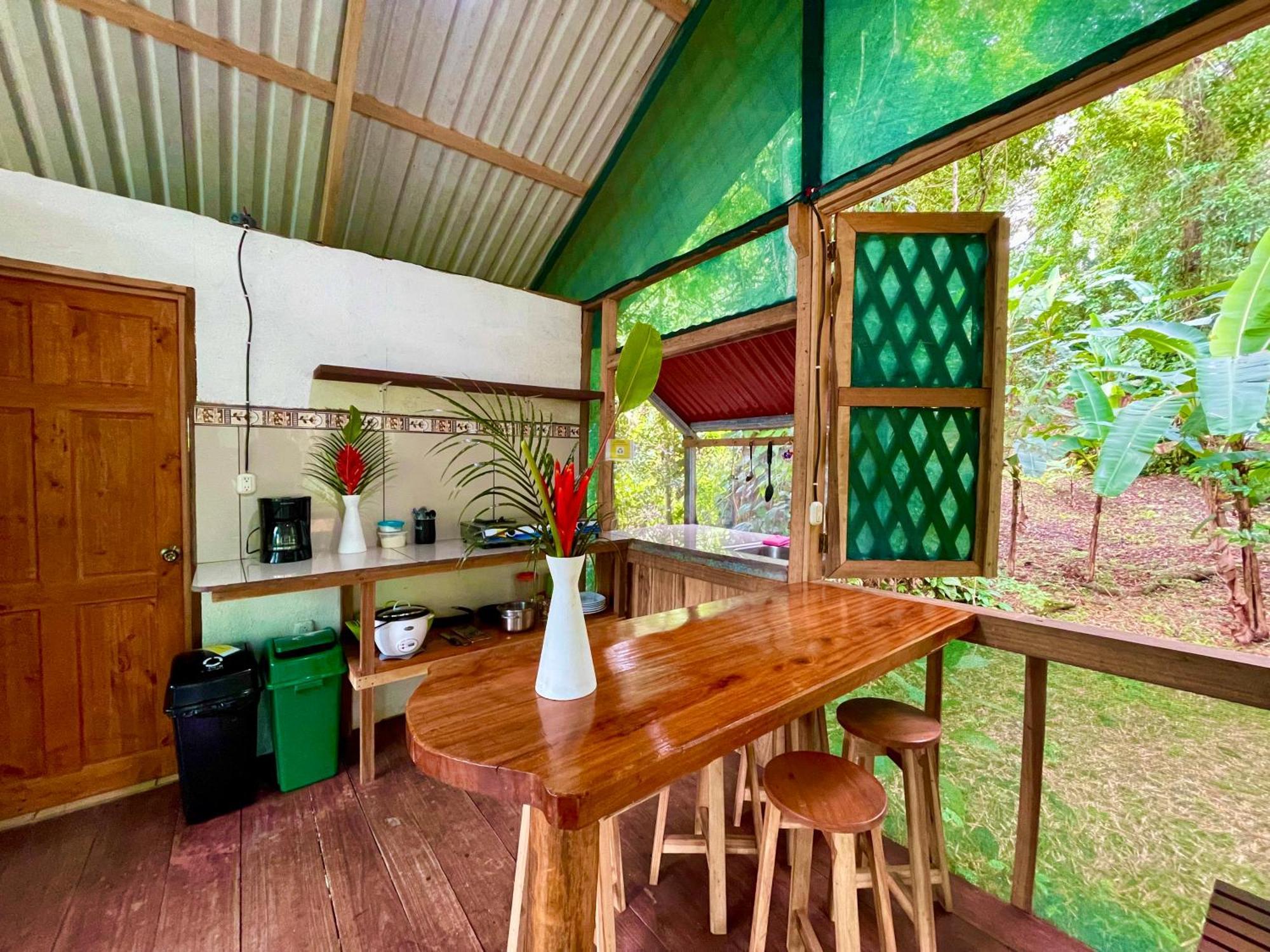 Alouatta Lodge And Canopy カウイータ エクステリア 写真