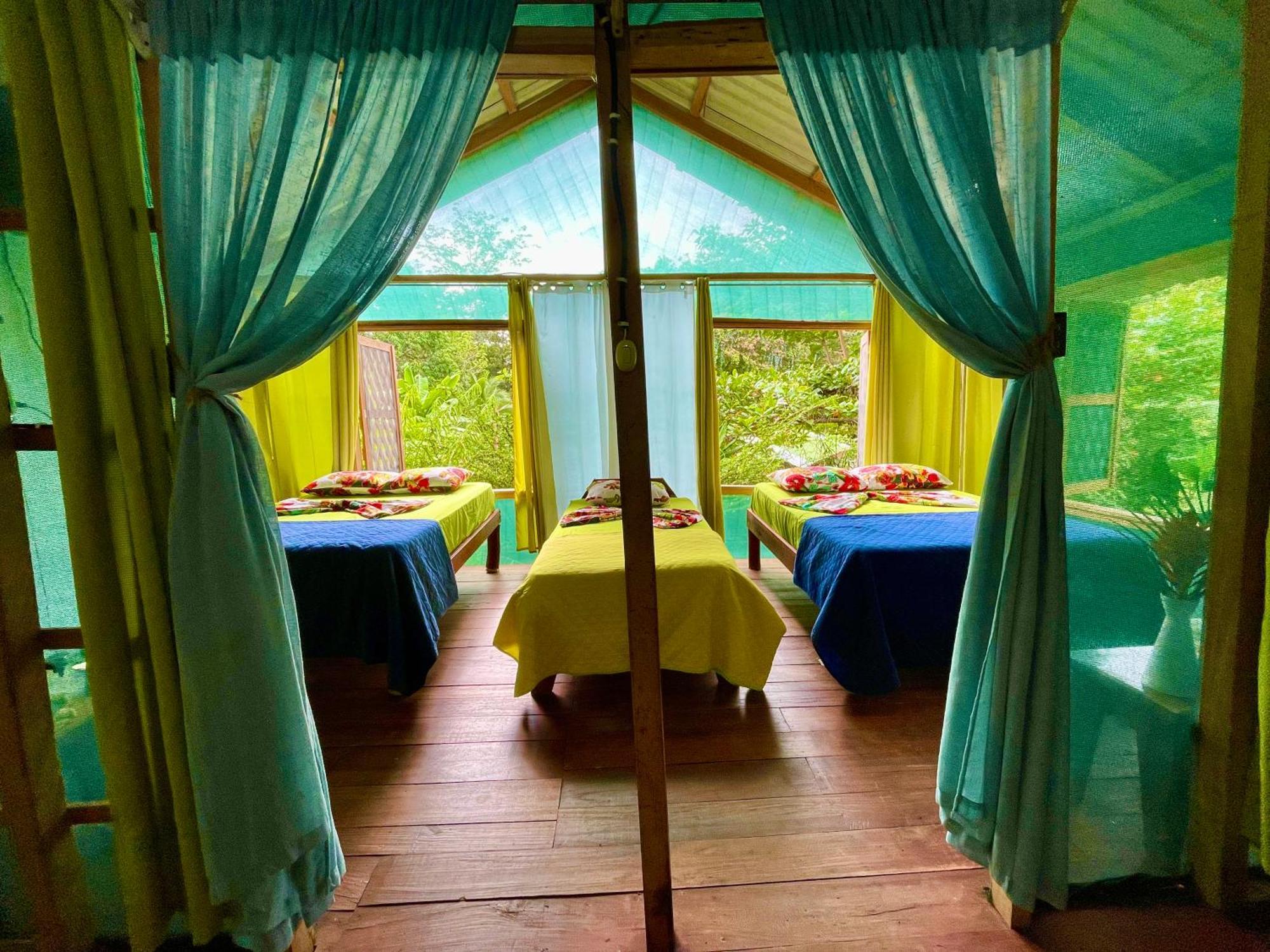 Alouatta Lodge And Canopy カウイータ エクステリア 写真