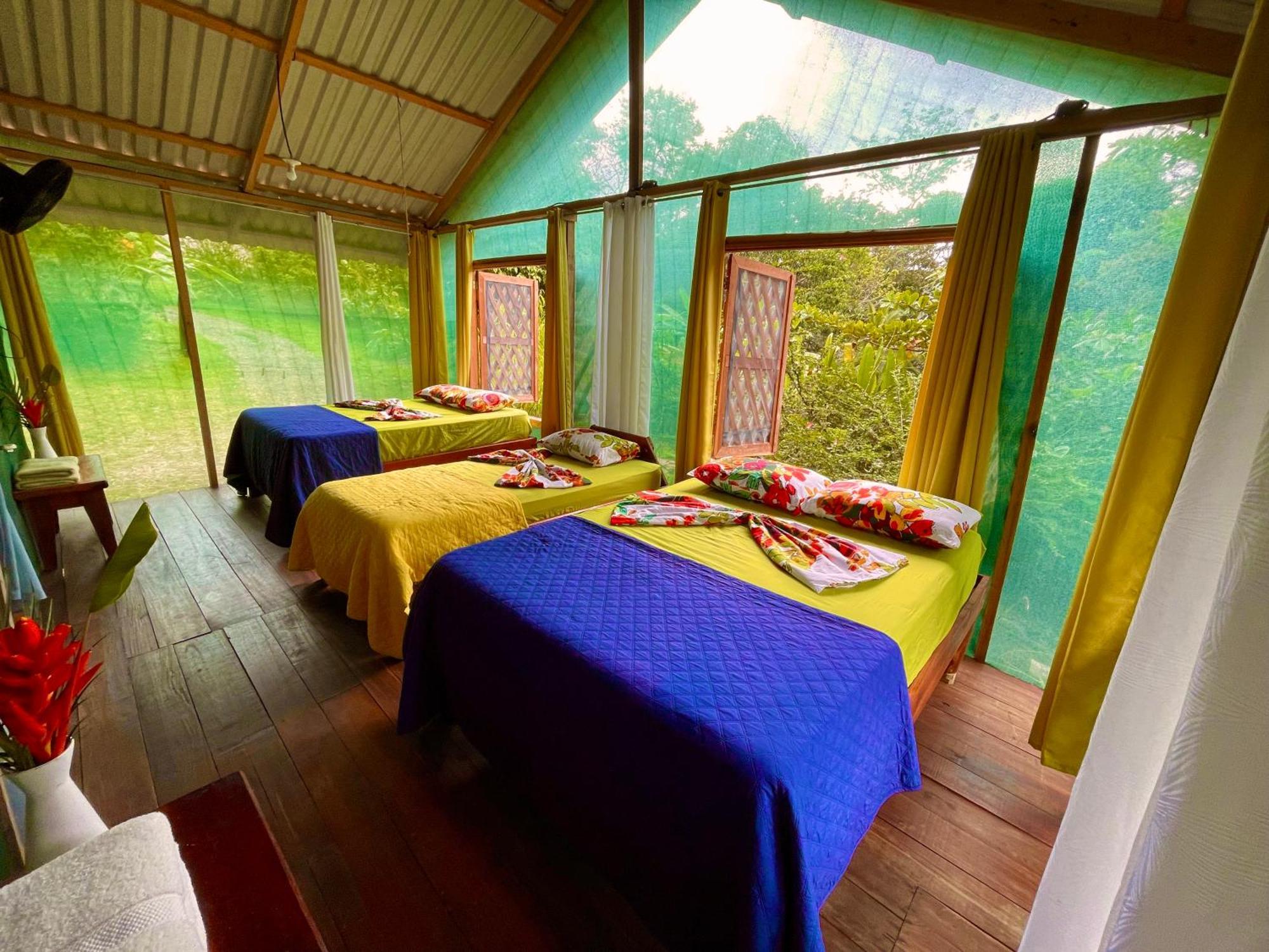 Alouatta Lodge And Canopy カウイータ エクステリア 写真