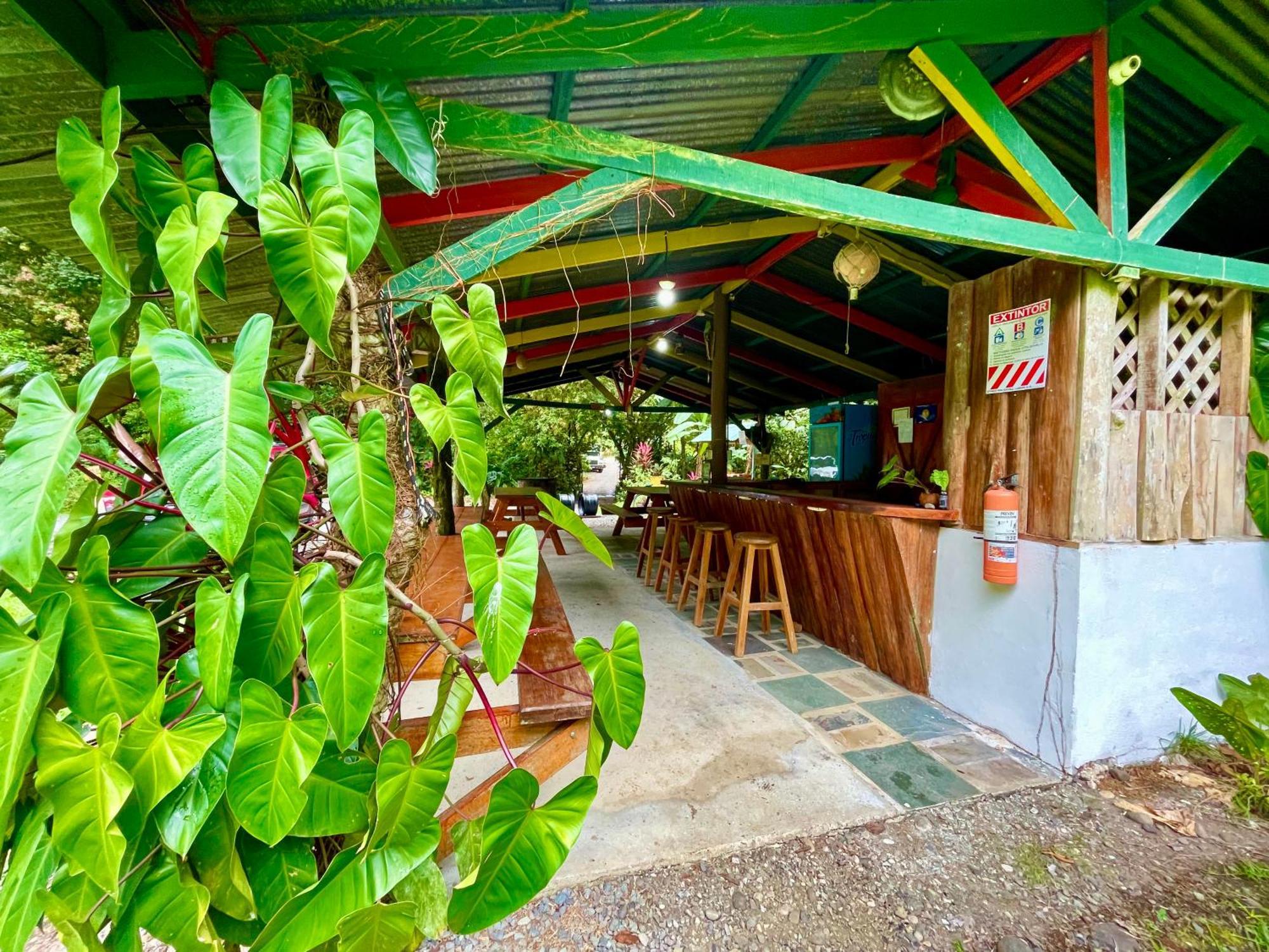 Alouatta Lodge And Canopy カウイータ エクステリア 写真