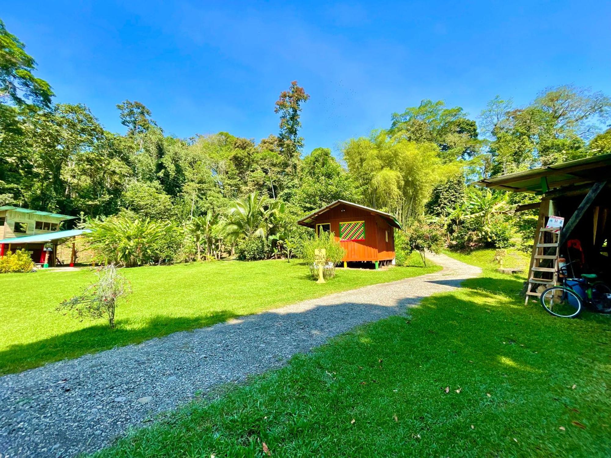 Alouatta Lodge And Canopy カウイータ エクステリア 写真