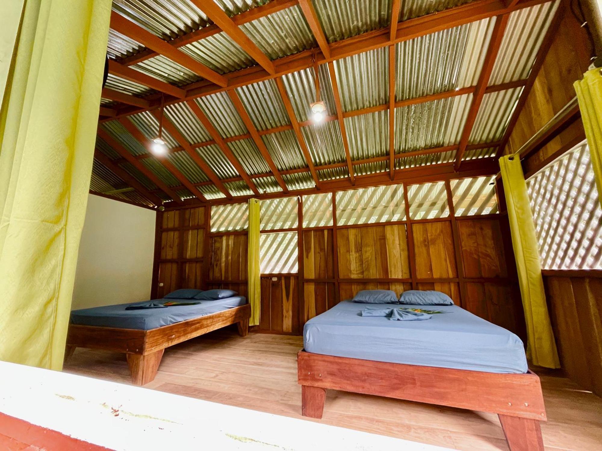 Alouatta Lodge And Canopy カウイータ エクステリア 写真