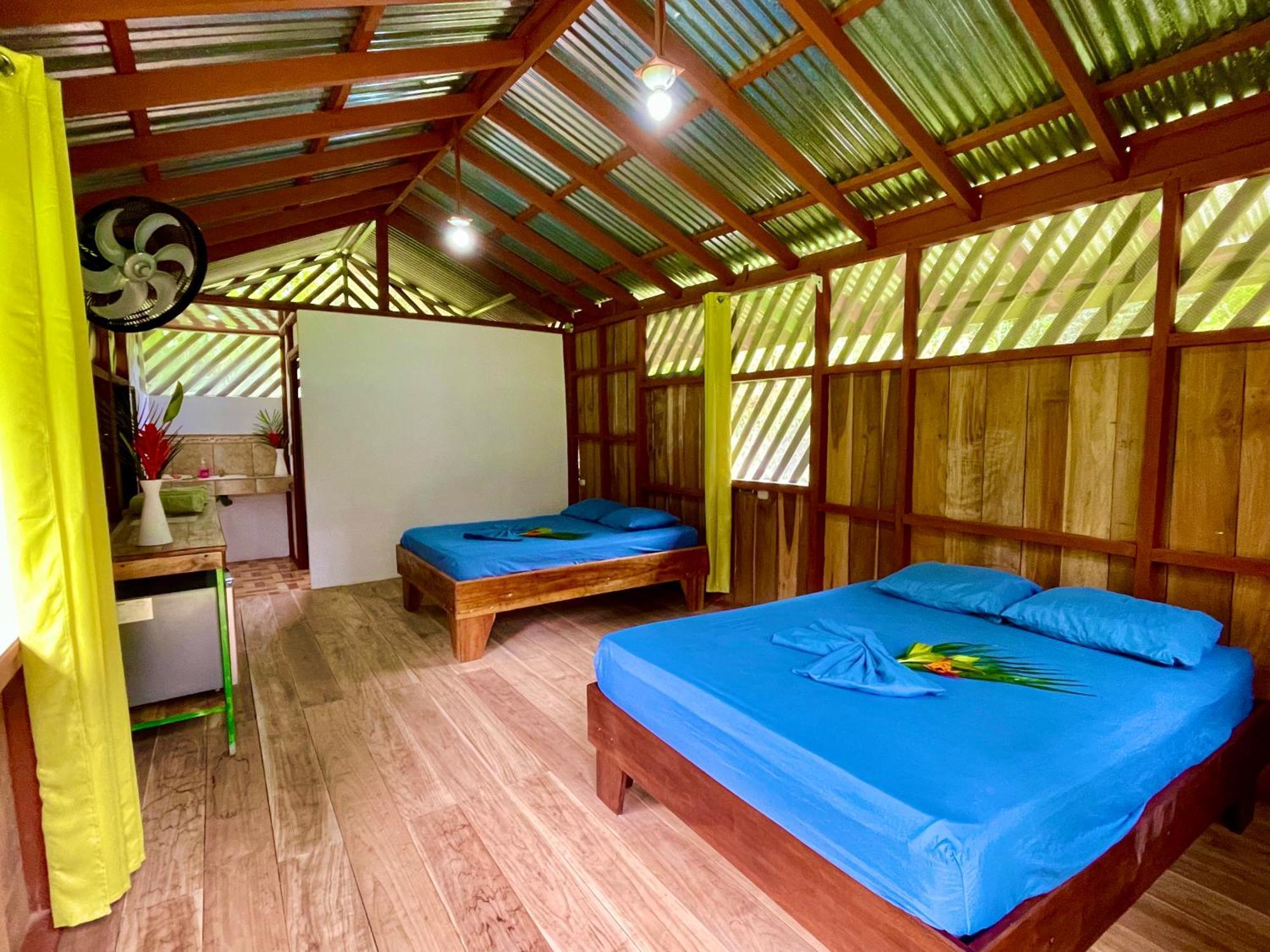 Alouatta Lodge And Canopy カウイータ エクステリア 写真