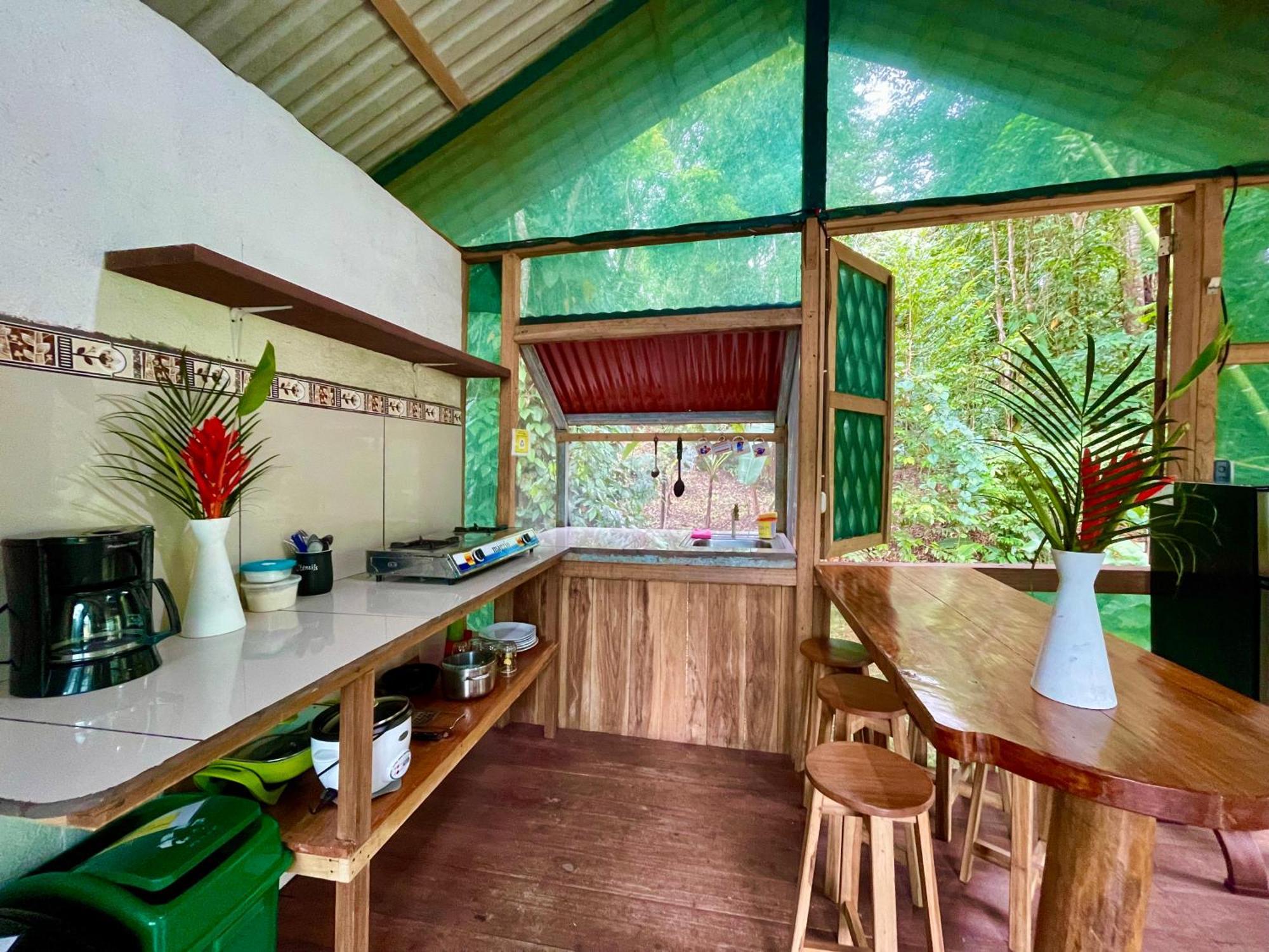 Alouatta Lodge And Canopy カウイータ エクステリア 写真