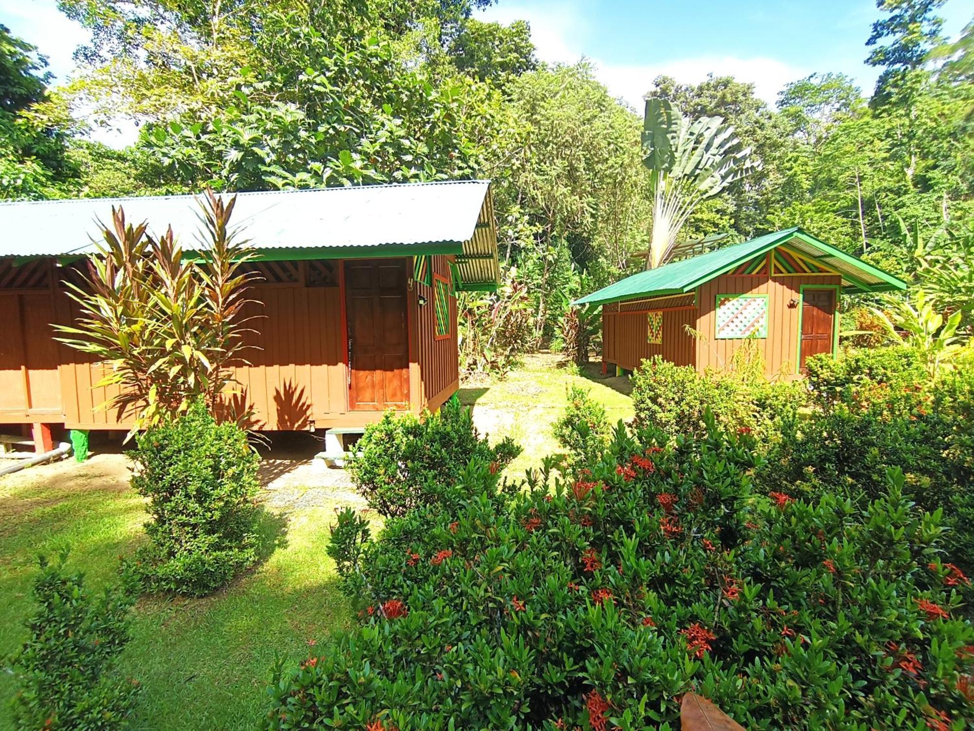 Alouatta Lodge And Canopy カウイータ エクステリア 写真