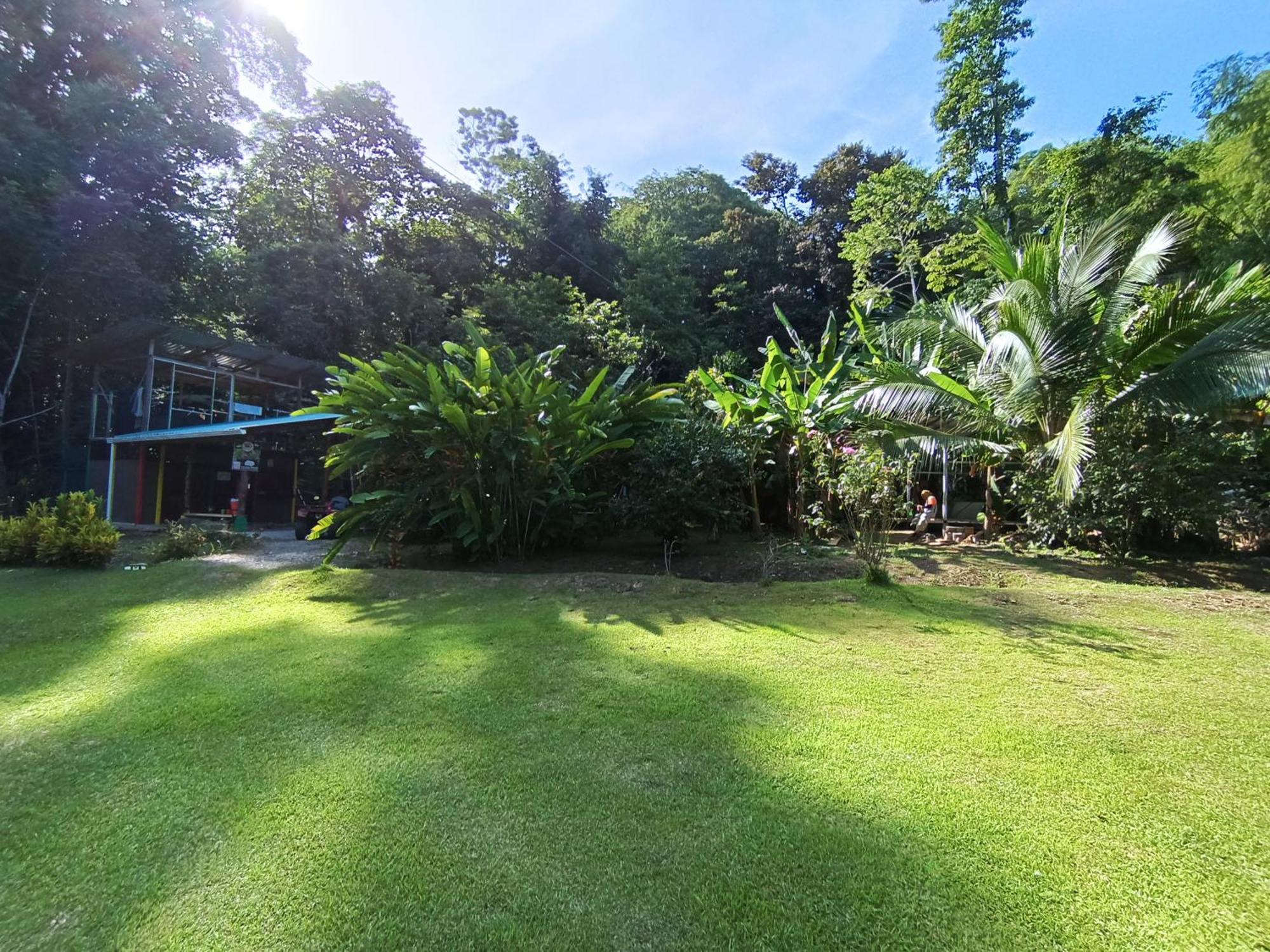 Alouatta Lodge And Canopy カウイータ エクステリア 写真
